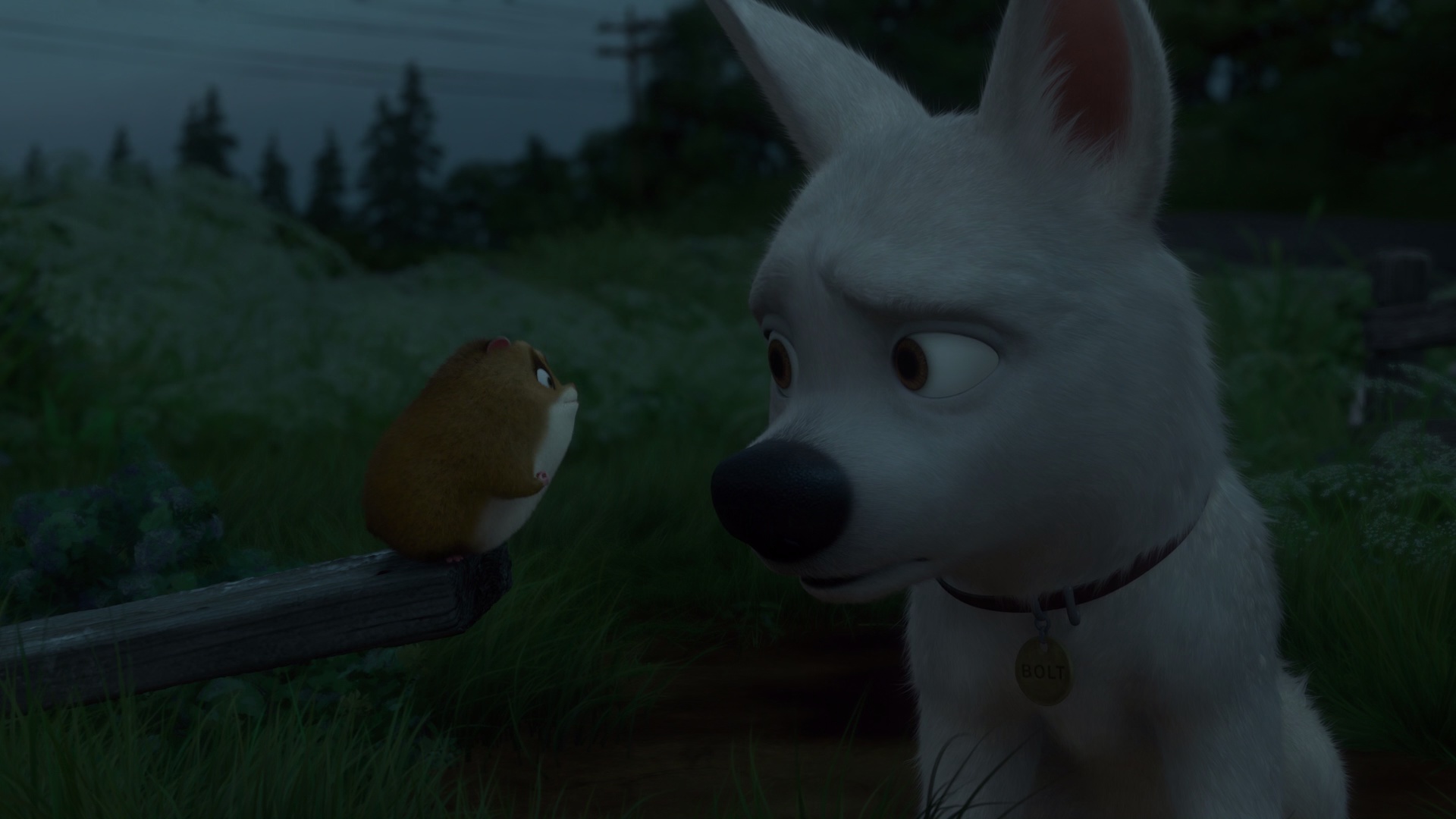 闪电狗 [国英多音轨/简繁英字幕].Bolt.2008.1080p.BluRay.x265.10bit.DTS.2Audio-QuickIO 5.47GB-5.png