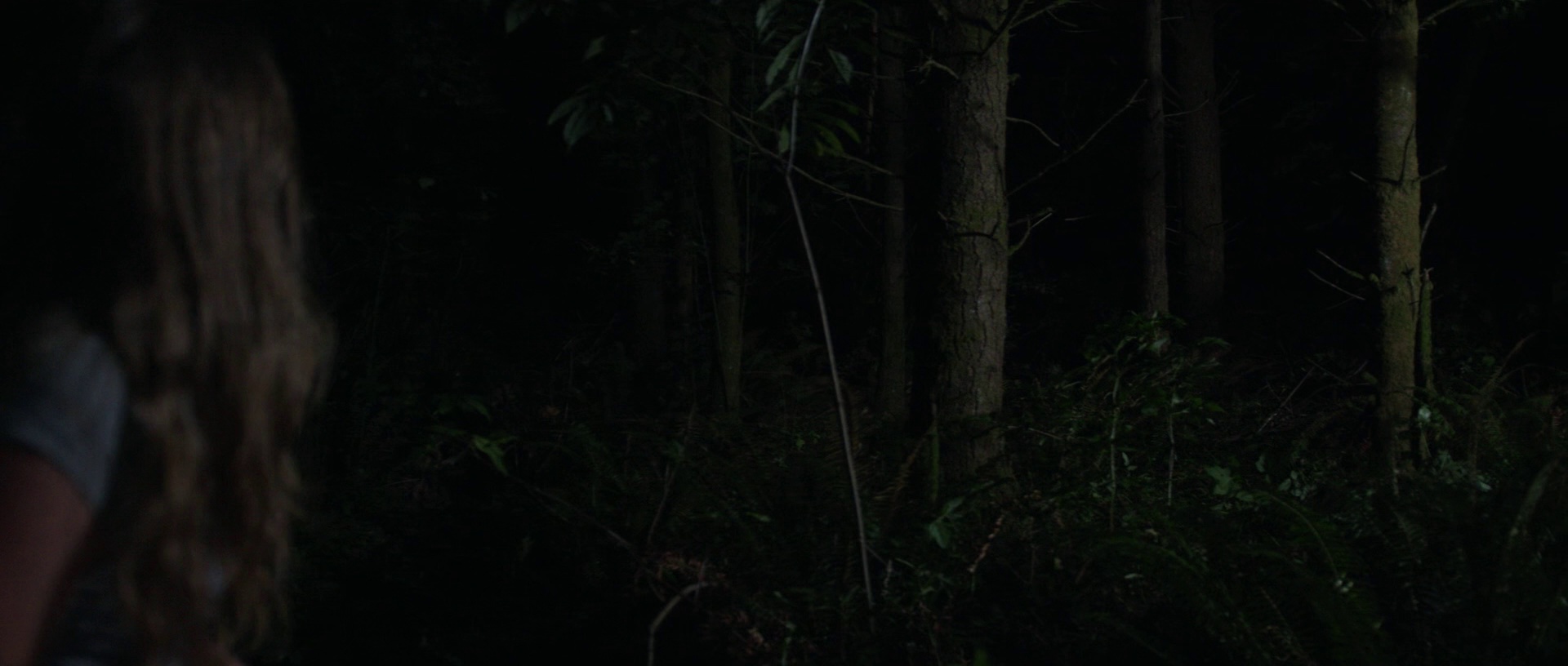 互动死尸游戏 [中文字幕].Dead.Body.2017.Bluray.1080p.AAC2.0.x264-DreamHD 2.35GB-7.png