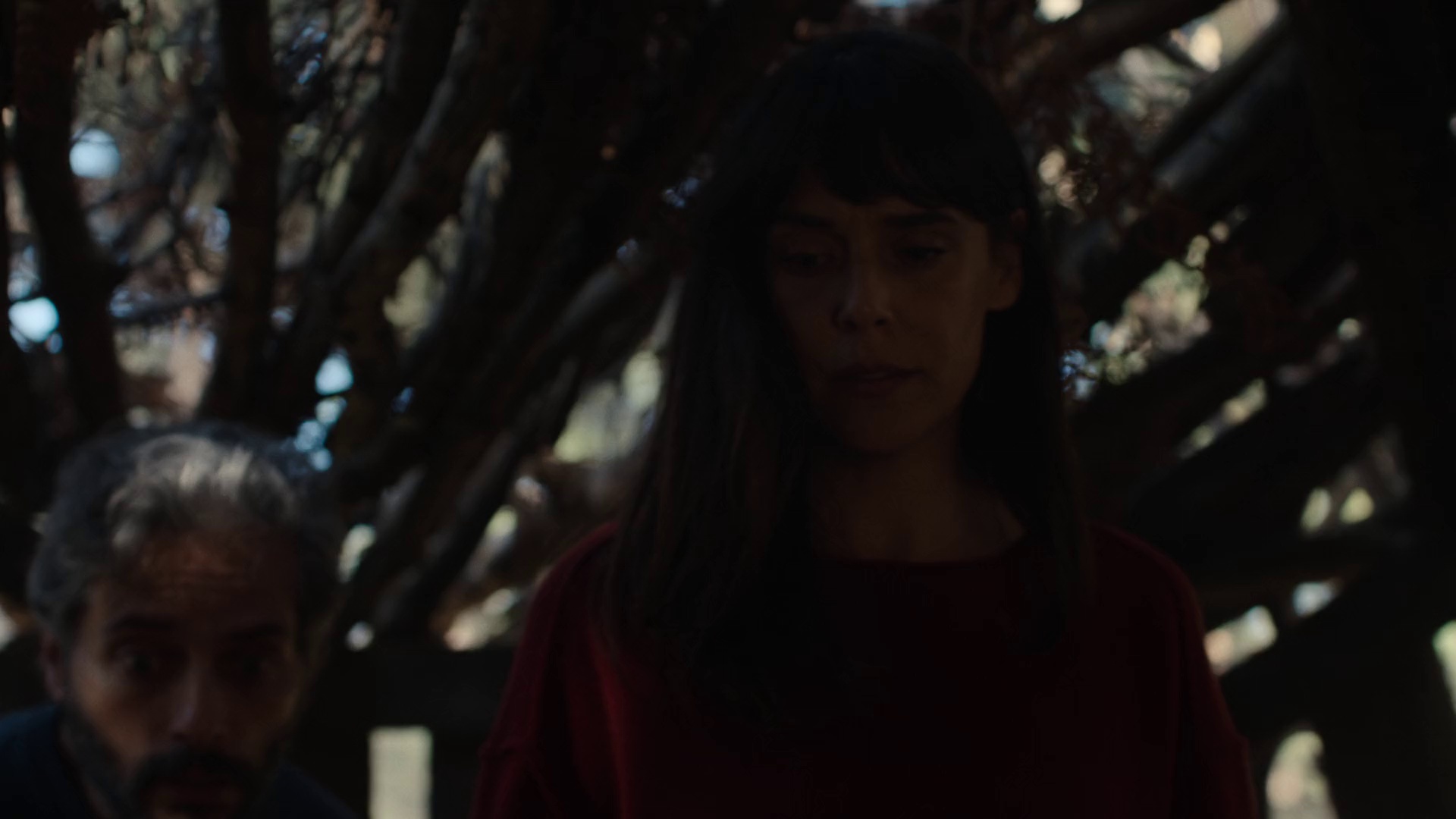 浴火之森 [简繁英字幕].Firebreak.2026.1080p.NF.WEB-DL.DDP.5.1.Atmos.H.264-DreamHD 5.51GB-2.png