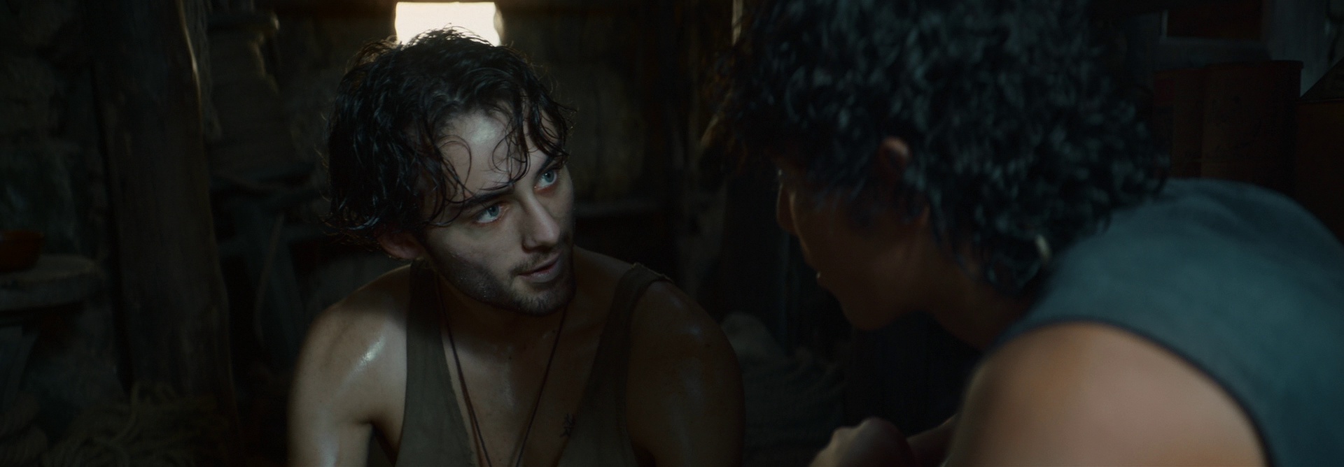 东极岛 [国语音轨/简繁英字幕].Dongji.Island.2025.1080p.BluRay.x264.DTS-HD.MA.5.1-CTRLHD 11.71GB-2.png