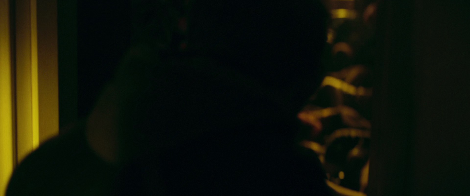 六天 [中英字幕].6.Days.2017.1080p.BluRay.DTS-HD.MA.5.1.x265.10bit-DreamHD 6.42GB-4.png