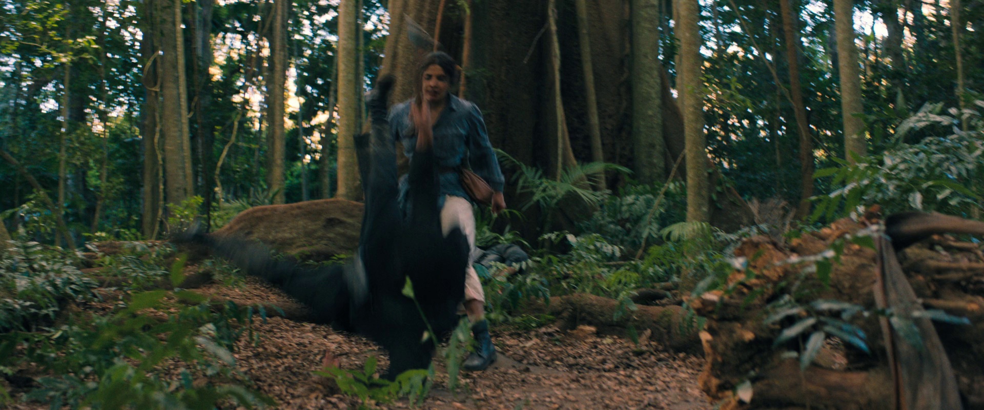 悬崖绝壁 [简繁英字幕].The.Bluff.2026.2160p.AMZN.WEB-DL.DDP5.1.HDR.H.265-PandaQT 10.98GB-4.png