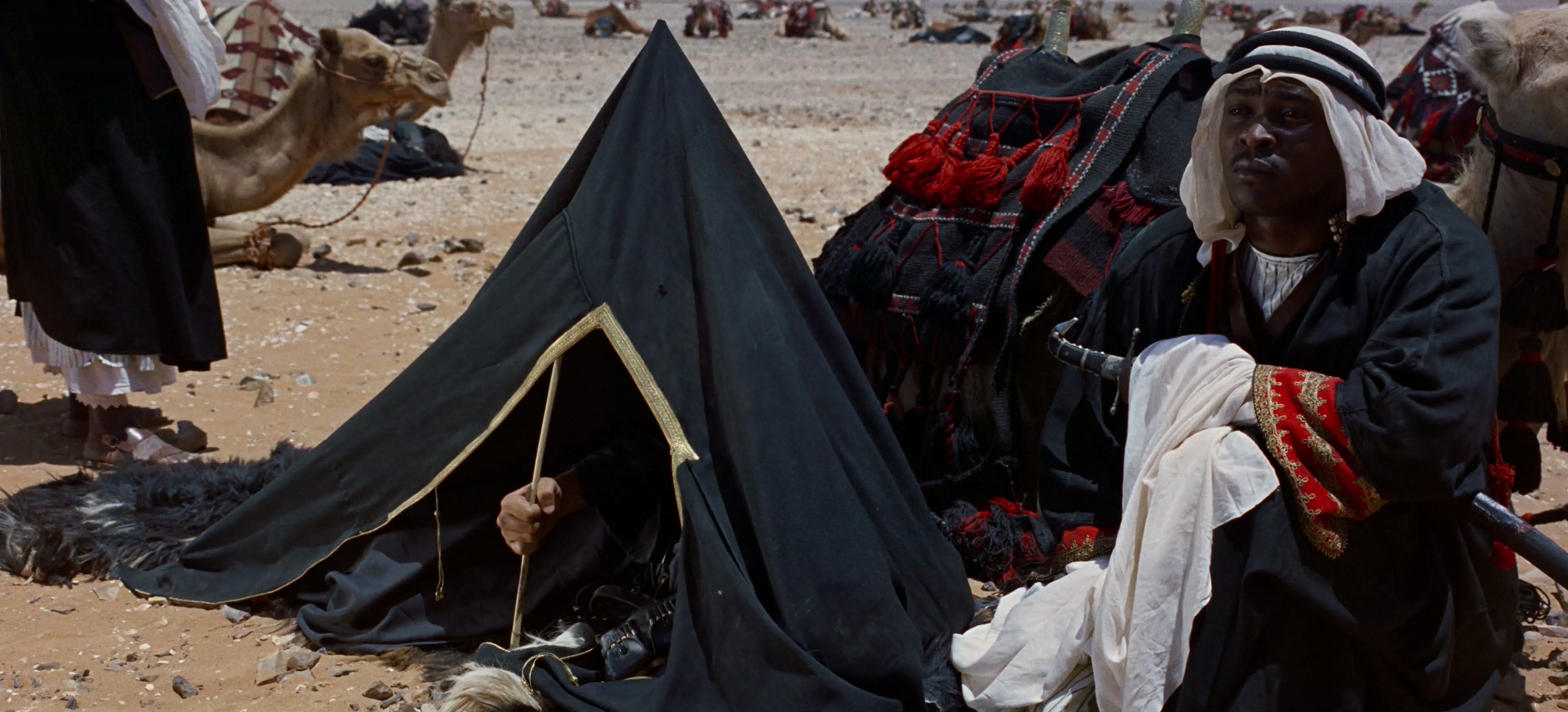 阿拉伯的劳伦斯 [国英多音轨/中英字幕].Lawrence.of.Arabia.1962.WEB-DL.2160p.x265.10bit.2Audio-SSDSSE 40.79GB-3.png