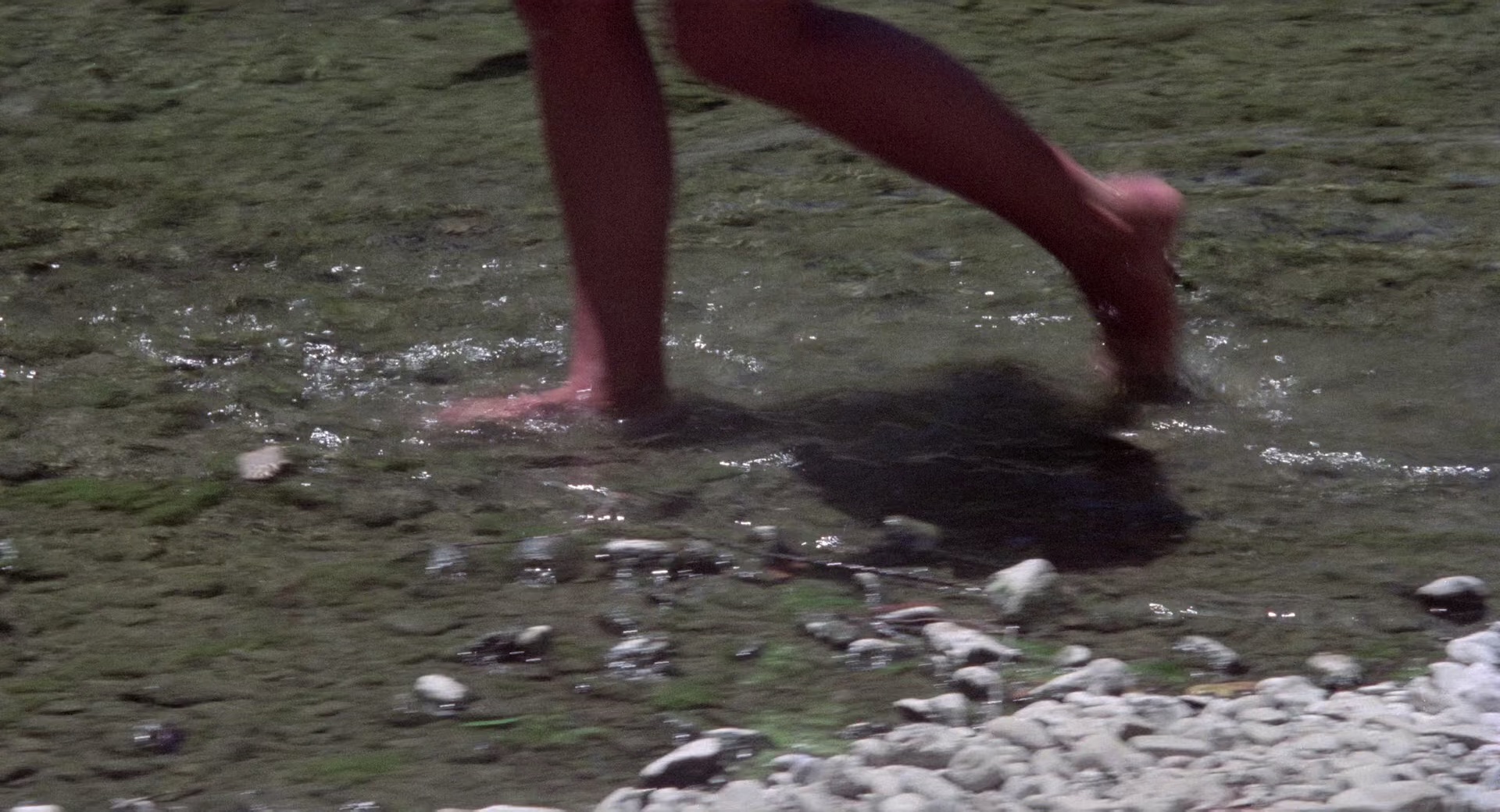 雄起！ [简繁英字幕].Up.1983.BluRay.1080p.x265.10bit.FLAC-SSDSSE 6.66GB-3.png