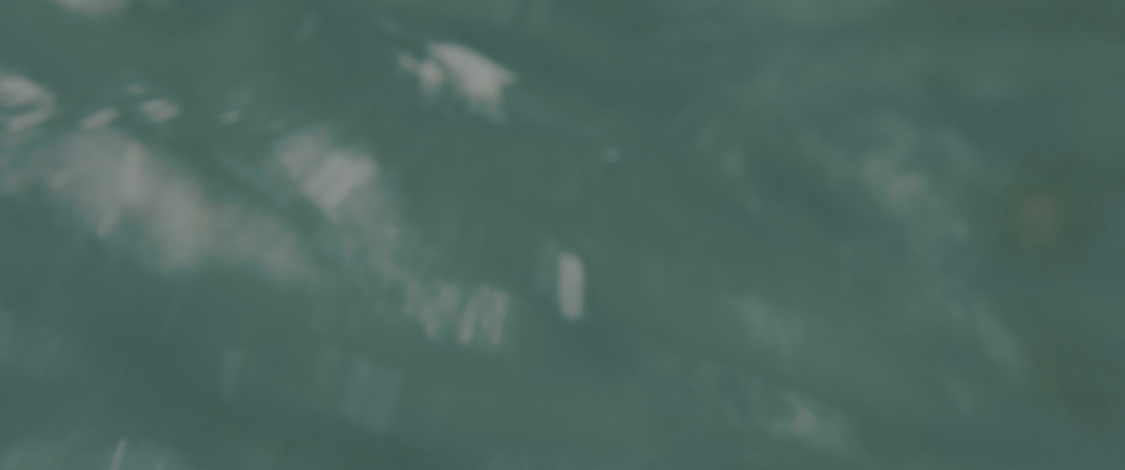 鲨滩 [国英多音轨/简繁英字幕].The.Shallows.2016.BluRay.2160p.x265.10bit.HDR.4Audio-SSDSSE 17.05GB-2.png