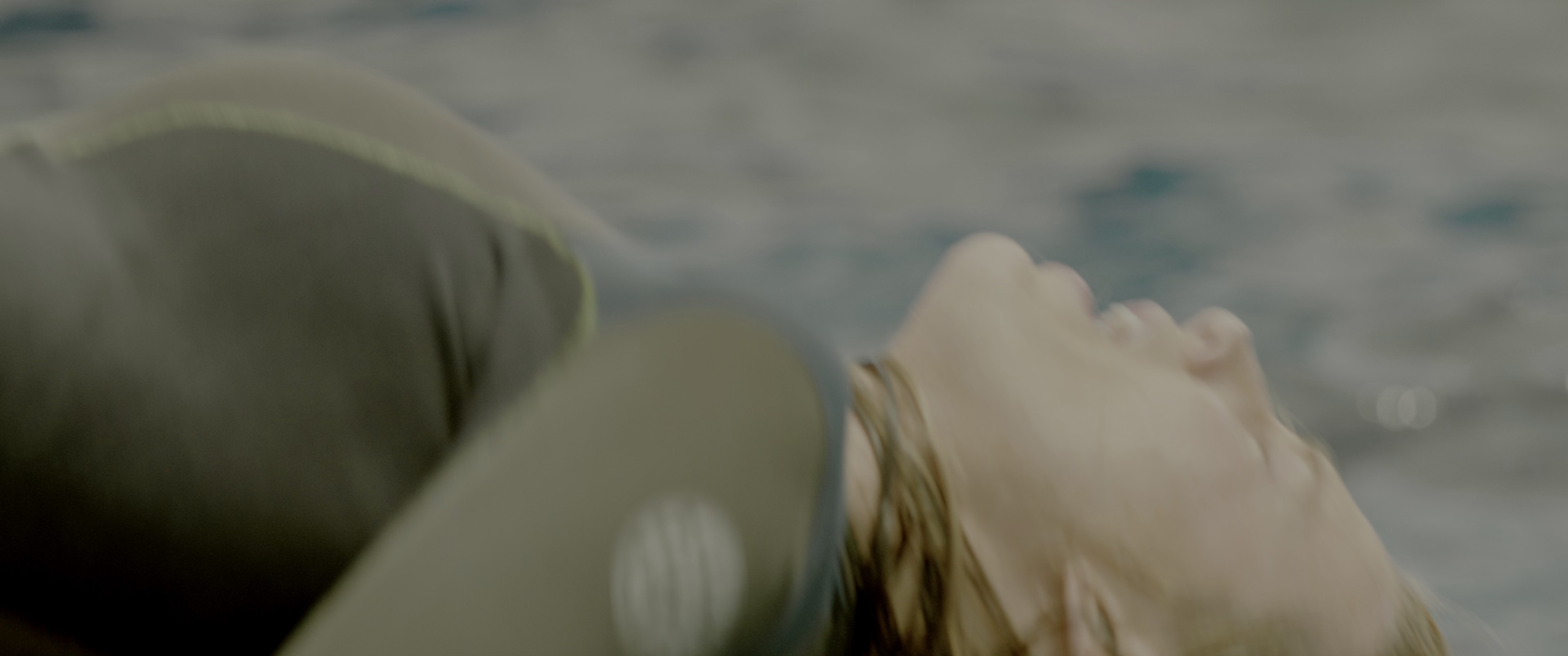 鲨滩 [国英多音轨/简繁英字幕].The.Shallows.2016.BluRay.2160p.x265.10bit.HDR.4Audio-SSDSSE 17.05GB-3.png