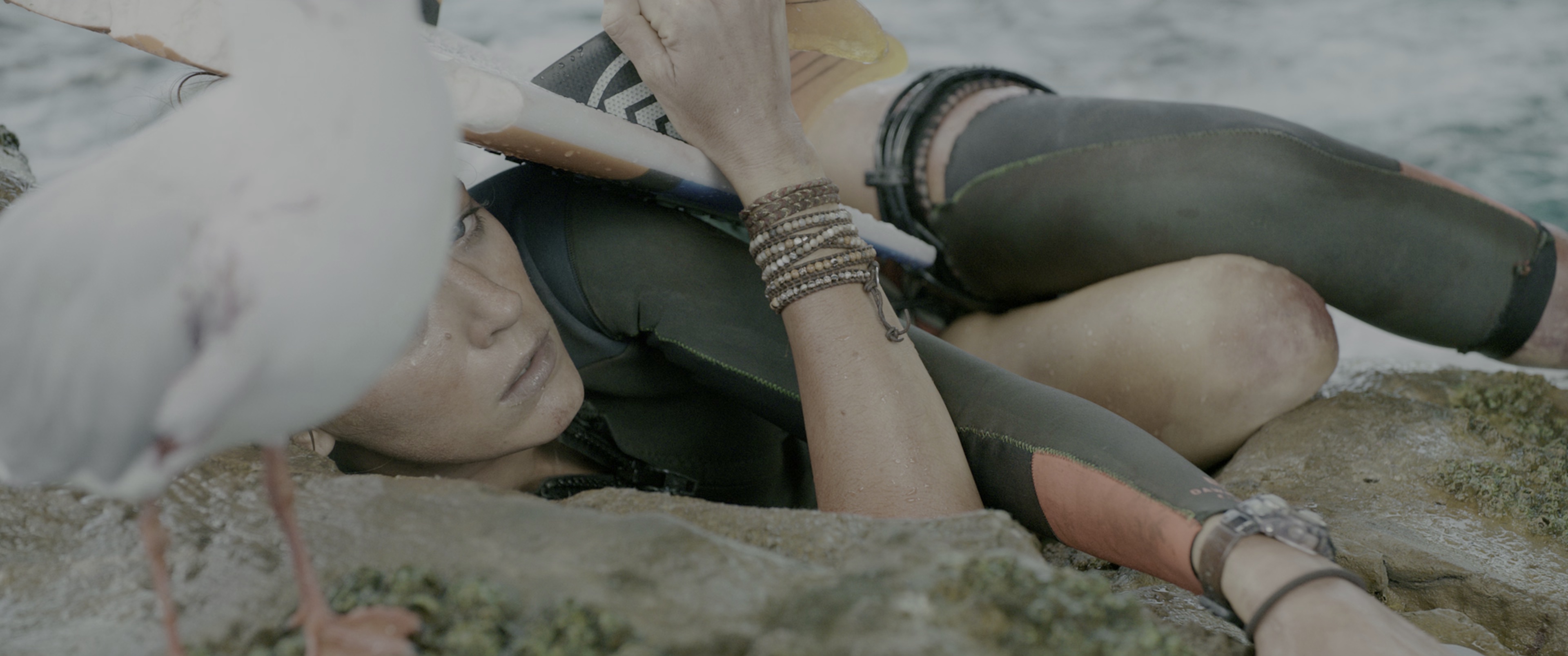 鲨滩 [国英多音轨/简繁英字幕].The.Shallows.2016.BluRay.2160p.x265.10bit.HDR.4Audio-SSDSSE 17.05GB-5.png