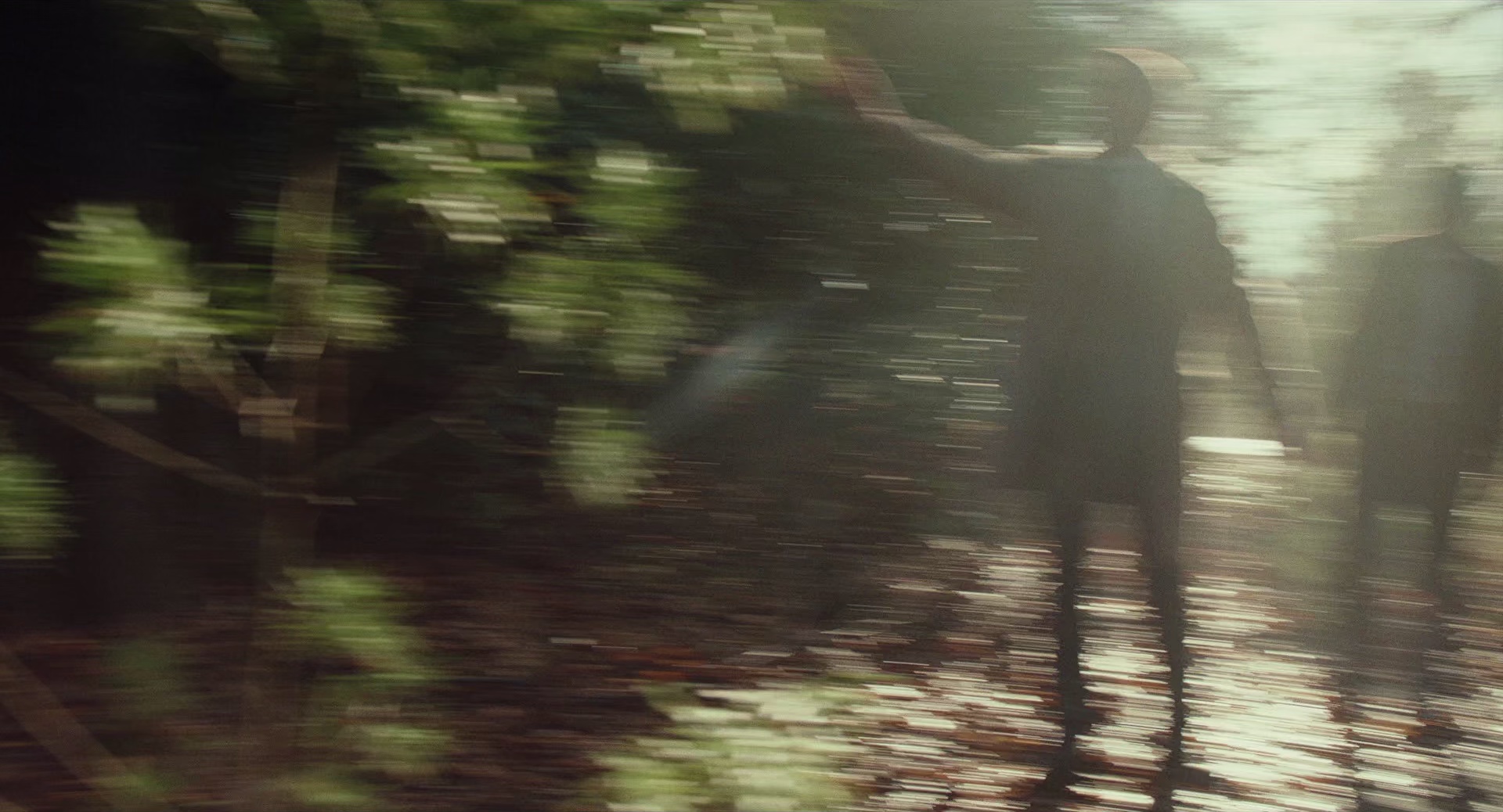 利刃出鞘 [国英多音轨/简英双语特效字幕].Knives.Out.2019.BluRay.1080P.x265.10bit.2Audio-SSDSSE 10.17GB-4.png