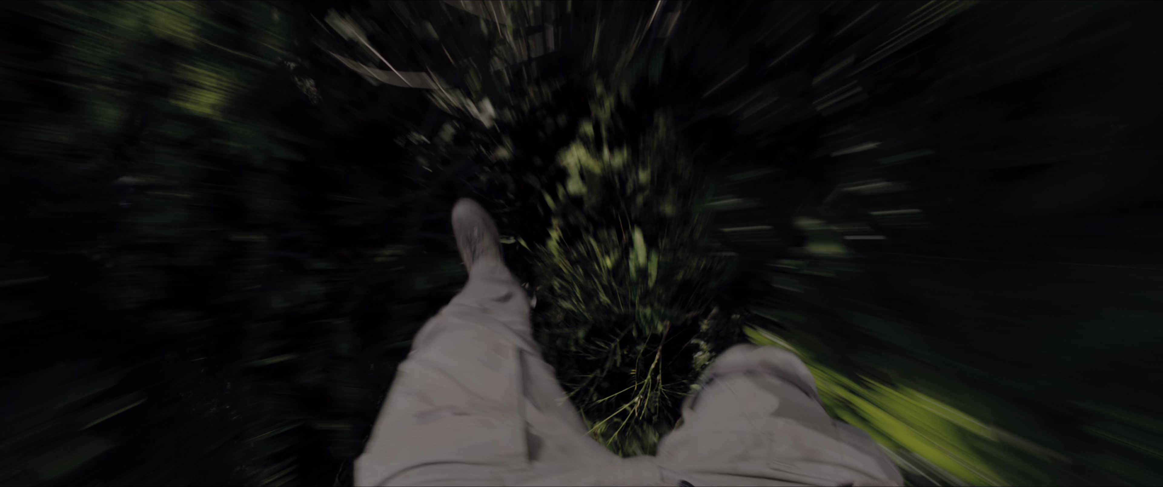 勇敢者游戏：决战丛林 [国英多音轨/简繁英字幕].2017.BluRay.2160p.x265.10bit.HDR.4Audio-SSDSSE 16.15GB-2.png