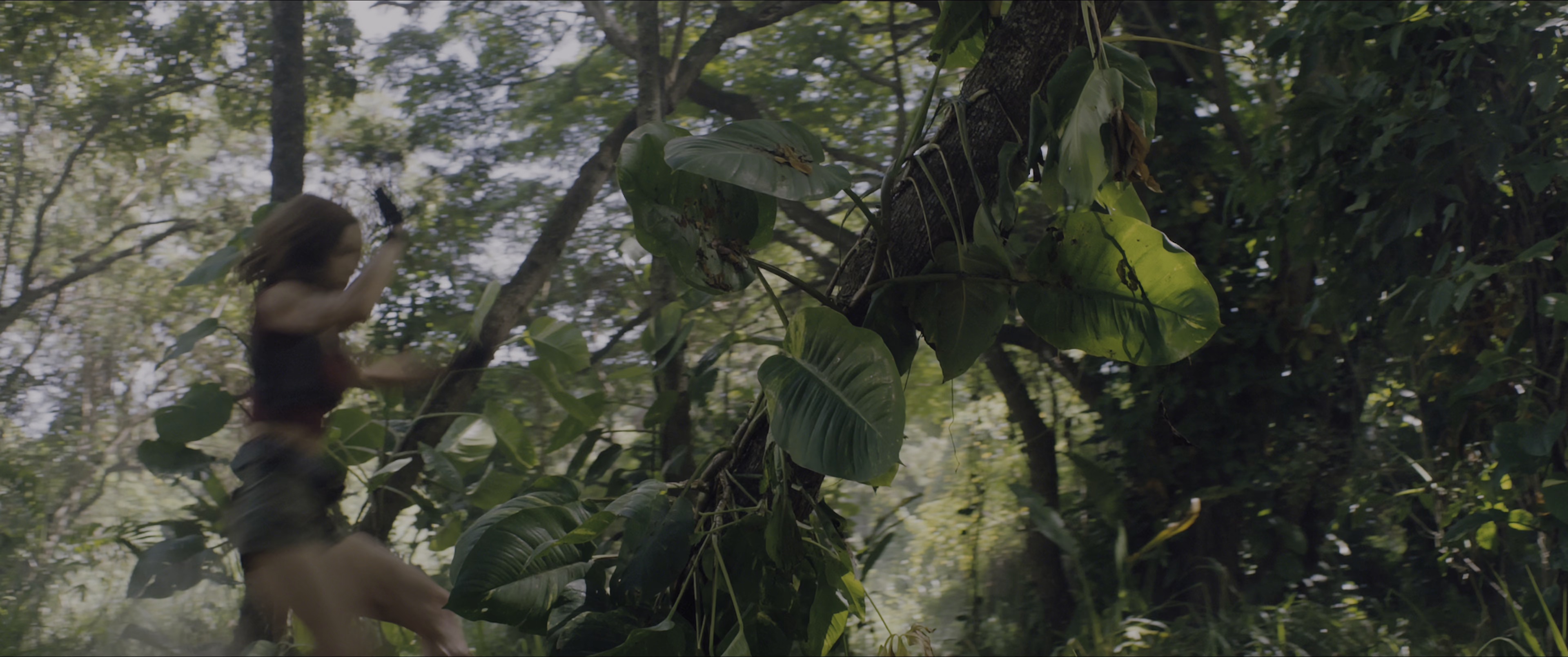 勇敢者游戏：决战丛林 [国英多音轨/简繁英字幕].2017.BluRay.2160p.x265.10bit.HDR.4Audio-SSDSSE 16.15GB-3.png