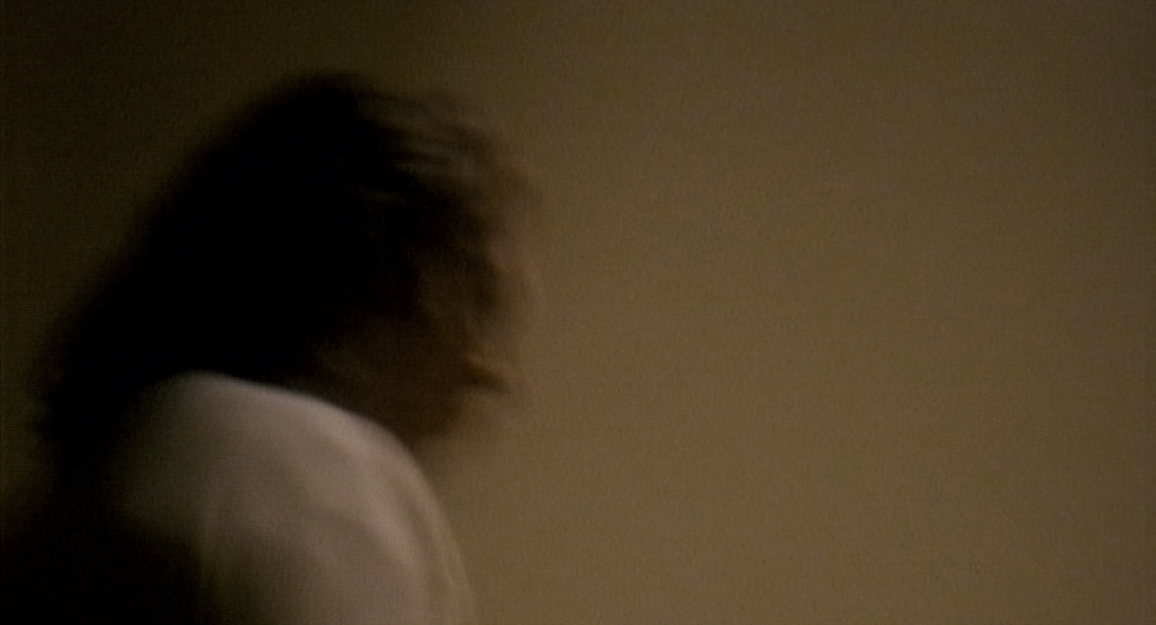 汉尼拔 [国英多音轨/简繁英双语字幕].Hannibal.2001.BluRay.2160p.x265.10bit.HDR.3Audios-SSDSSE 43.50GB-2.png