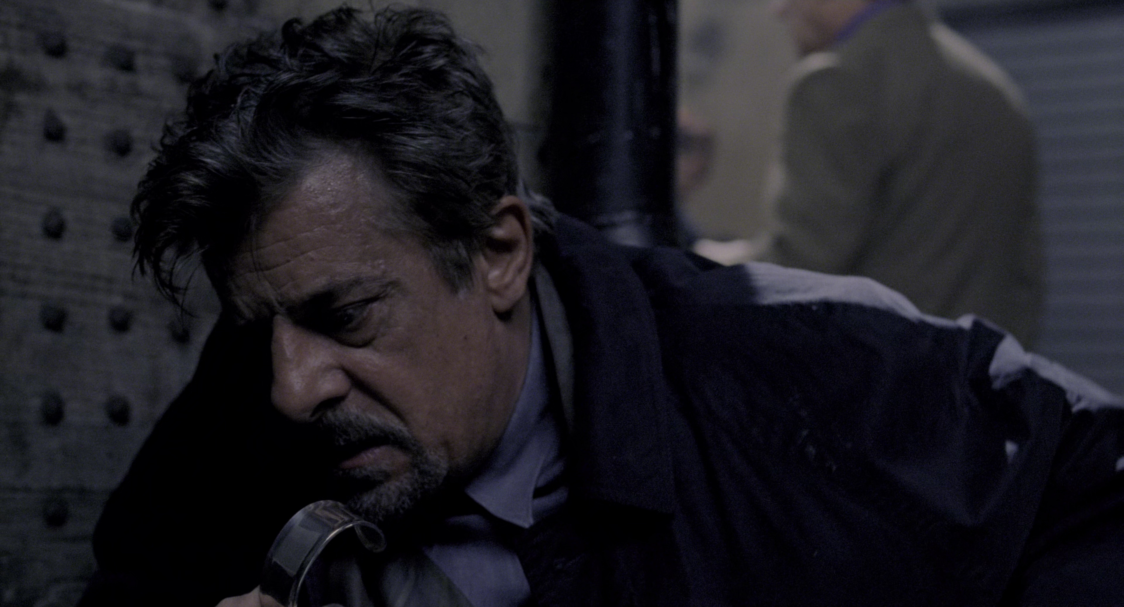 汉尼拔 [国英多音轨/简繁英双语字幕].Hannibal.2001.BluRay.2160p.x265.10bit.HDR.3Audios-SSDSSE 43.50GB-4.png