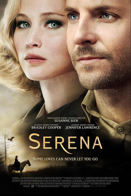 赛琳娜 [简繁英字幕].Serena.2014.Bluray.1080p.x265.10bit.DDP5.1-SSDSSE 3.66GB-1.png