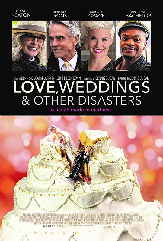 爱情，婚礼和其它灾难 [无字片源].Love.Weddings.&.Other.Disasters.2020.Bluray.1080p.x265.10bit-SSDSSE 3.57GB-1.png