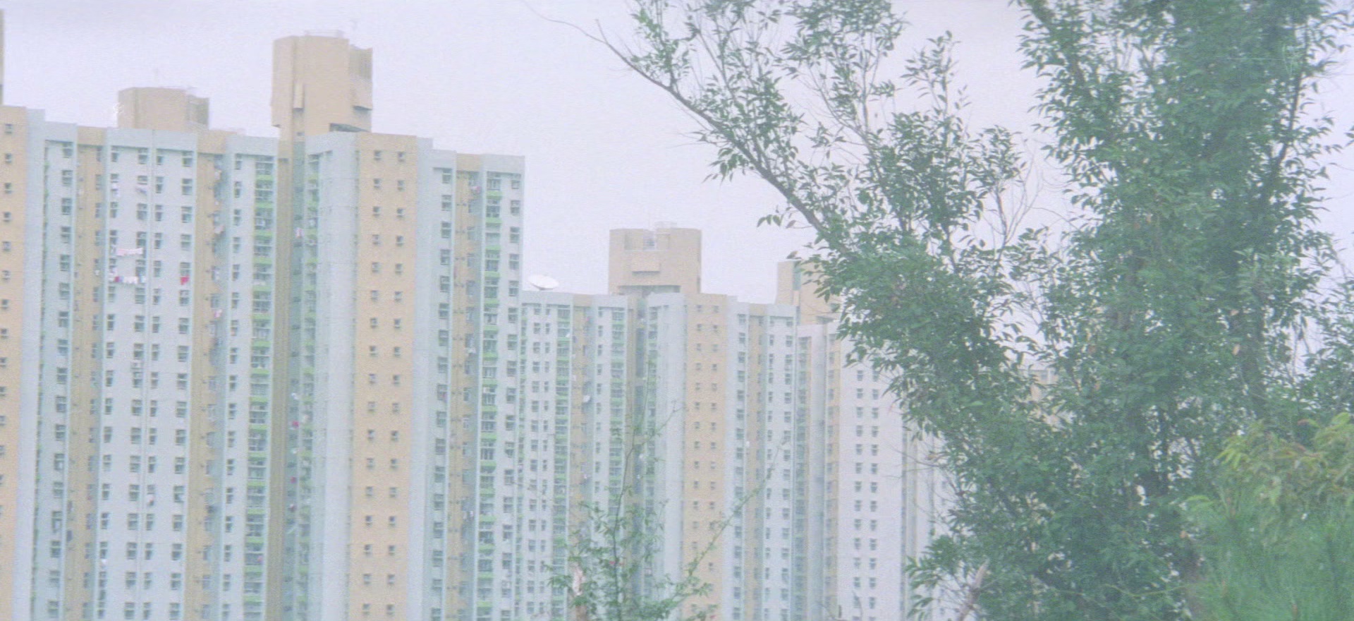 非常突然 [国粤多音轨/简繁字幕].Expect.The.Unexpected.1998.FRA.Bluray.1080p.x265.10bit.DD5.1-SSDSSE 6.99GB-4.png