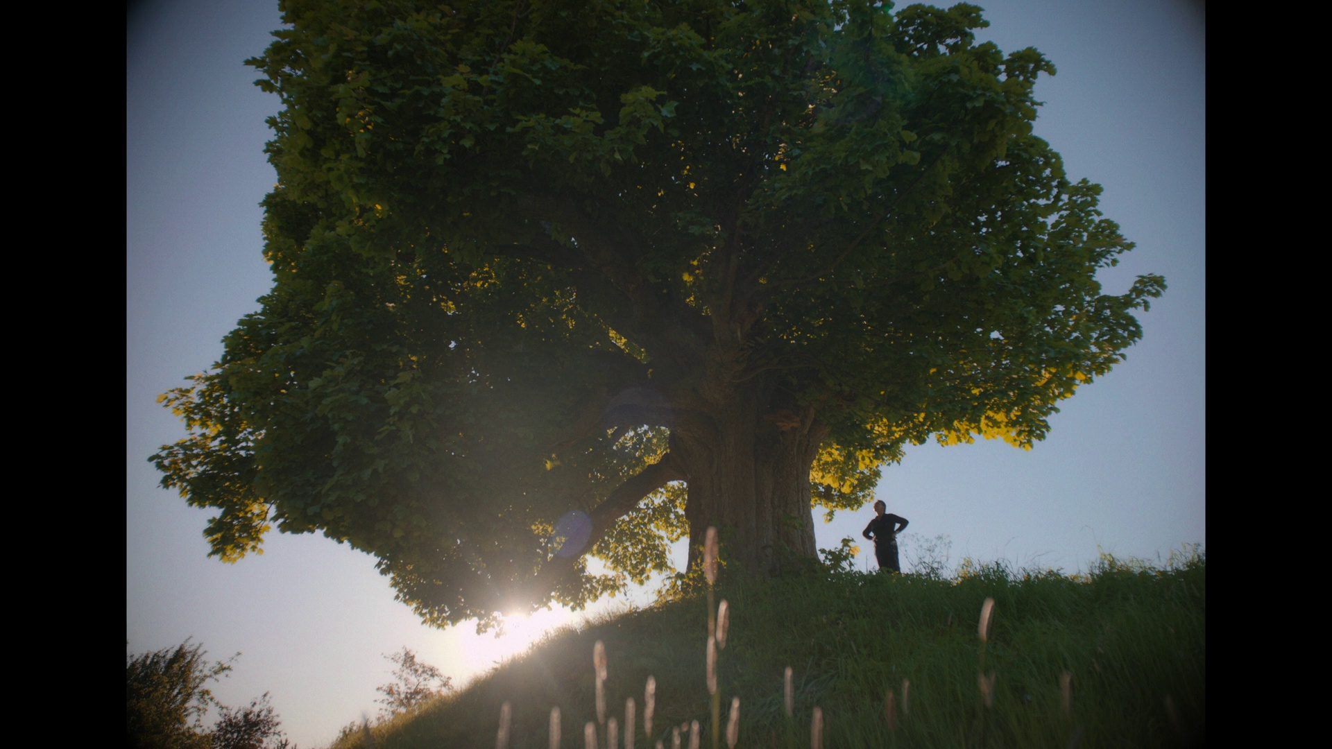 寻觅和谐：一位国王的愿景 [无字片源].Finding.Harmony.A.Kings.Vision.2026.1080p.AMZN.WEB-DL.DDP.5.1.H.264-DreamHD 6.09GB-3.png