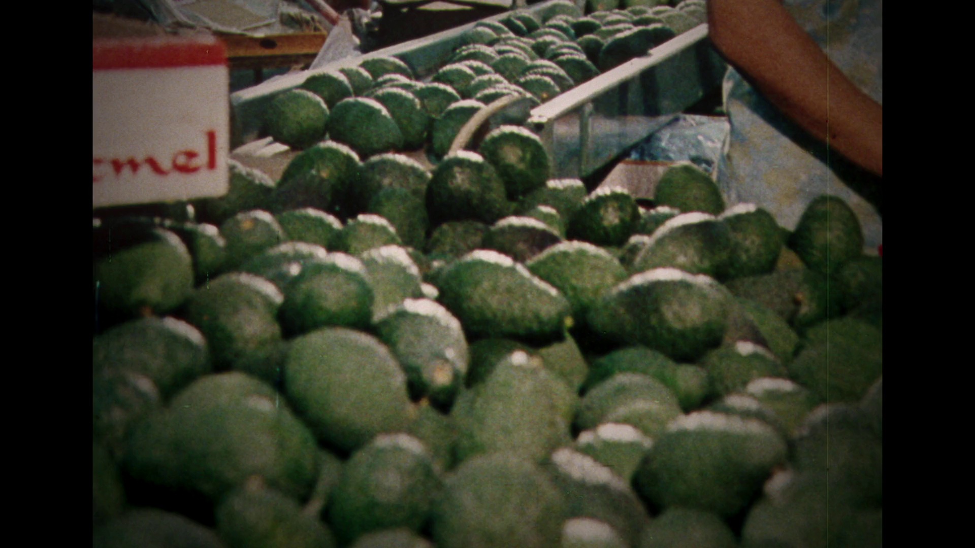 寻觅和谐：一位国王的愿景 [无字片源].Finding.Harmony.A.Kings.Vision.2026.2160p.AMZN.WEB-DL.DDP.5.1.H.265-DreamHD 9.71GB-2.png