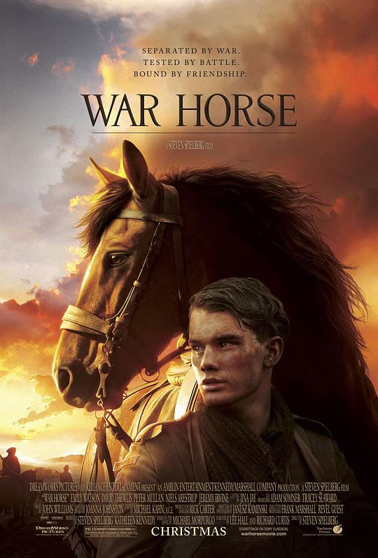 战马 [国英多音轨/中英字幕].War.Horse.2011.BluRay.1080p.x265.10bit.2Audio-SSDSSE 6.78GB-1.png
