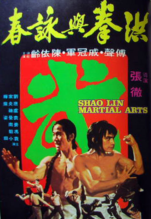 洪拳与咏春 [国语音轨/简繁英字幕].Shaolin.Martial.Arts.1974.BluRay.1080p.x265.10bit.FLAC2.0-SSDSSE 6.73GB-1.png