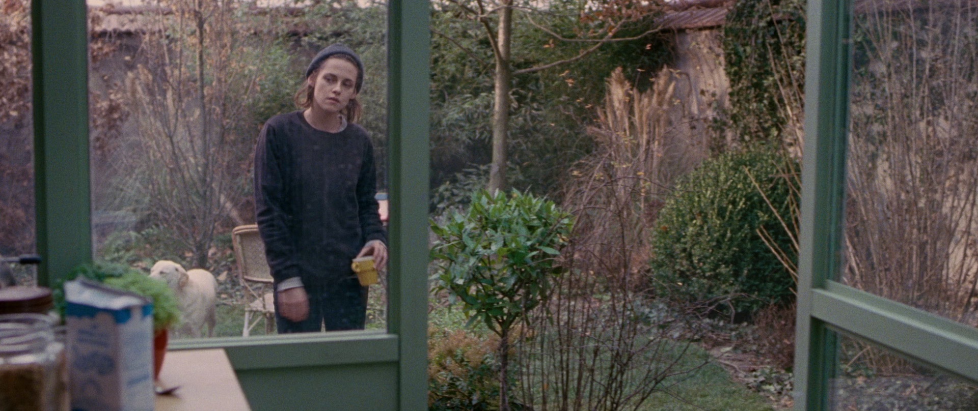 私人采购员 [中英字幕].Personal.Shopper.2016.BluRay.1080p.x265.10bit-SSDSSE 6.17GB-7.png