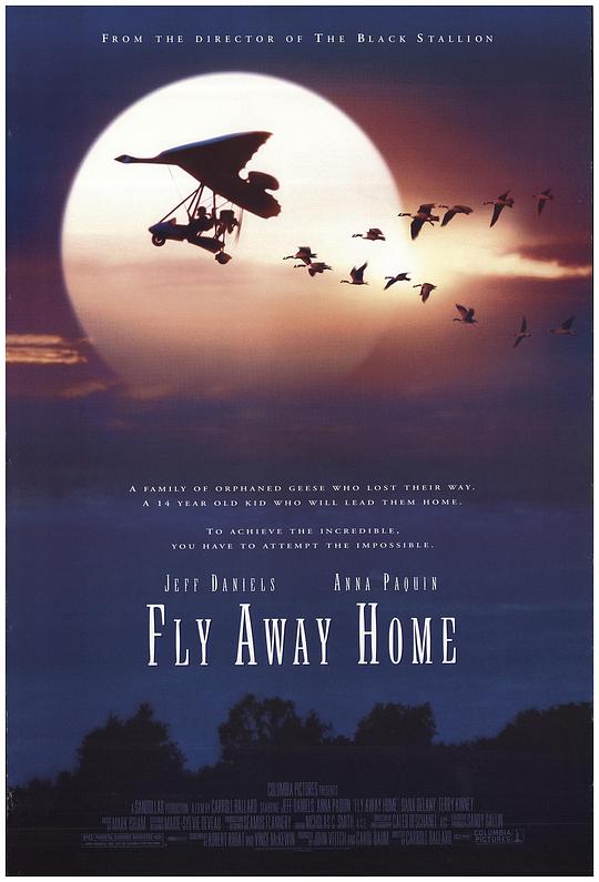 伴你高飞 [简繁英字幕].Fly.Away.Home.1996.BluRay.1080p.x265.10bit-SSDSSE 9.01GB-1.png