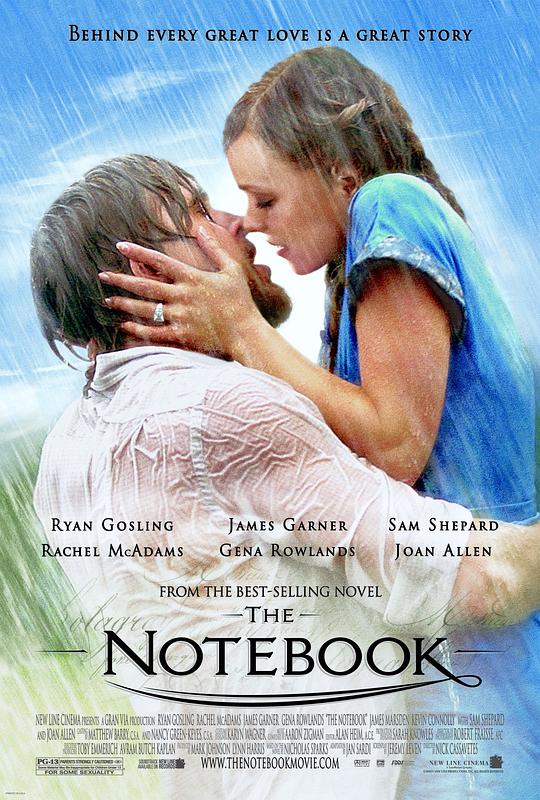 恋恋笔记本 [国英多音轨/简繁英字幕].The.Notebook.2004.BluRay.1080p.x265.10bit.DDP5.1-SSDSSE 10.96GB-1.png