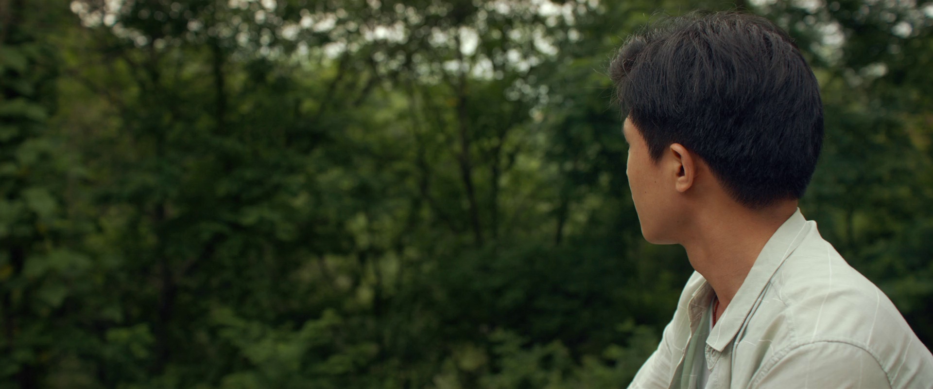 亭亭凤凰台 [国语配音/中文字幕].The.Towering.Phoenix.Mountain.2025.1080p.WEB-DL.H264.AAC-QuickIO 1.38GB-7.png