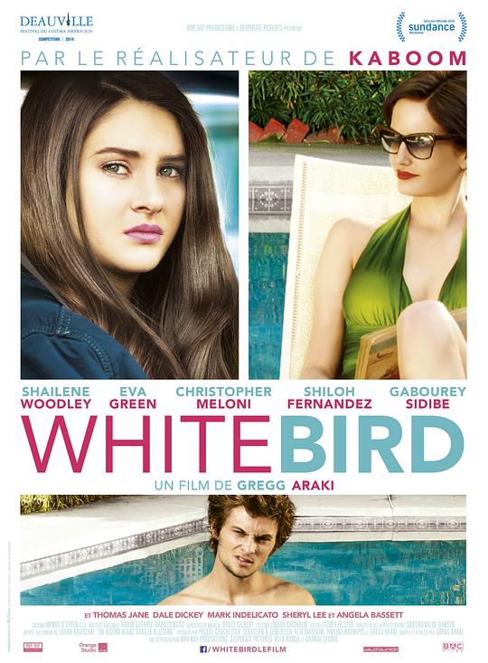 暴风雪中的白鸟 [中英字幕].White.Bird.In.a.Blizzard.2014.BluRay.1080p.x265-SSDSSE 1.49GB-1.png