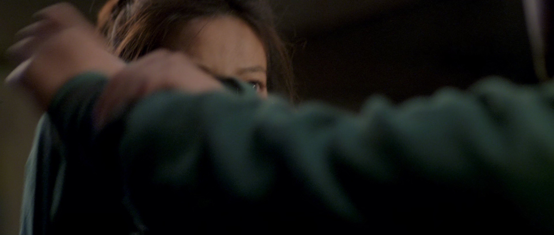 花木兰 [国粤多音轨/简繁英字幕].Mulan.2009.BluRay.1080p.x265.10bit.2Audio-SSDSSE 6.03GB-2.png