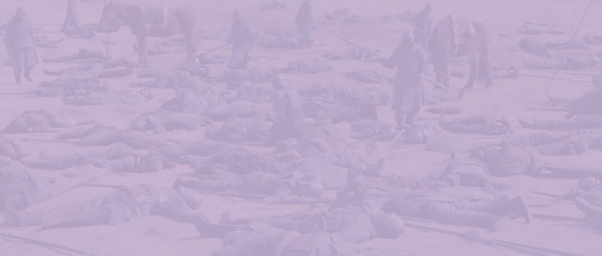 花木兰 [国粤多音轨/简繁英字幕].Mulan.2009.BluRay.1080p.x265.10bit.2Audio-SSDSSE 6.03GB-3.png