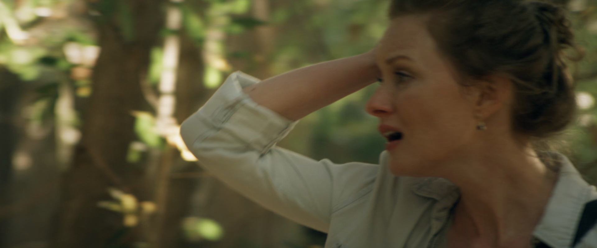 猎杀禁区 [中文字幕].Preservation.2014.BluRay.1080p.x265.10bit-SSDSSE 3.13GB-2.png