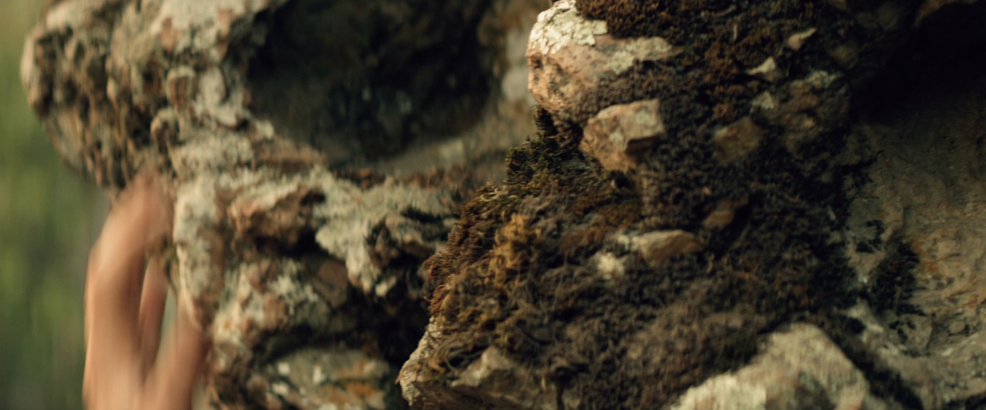 猎杀禁区 [中文字幕].Preservation.2014.BluRay.1080p.x265.10bit-SSDSSE 3.13GB-5.png