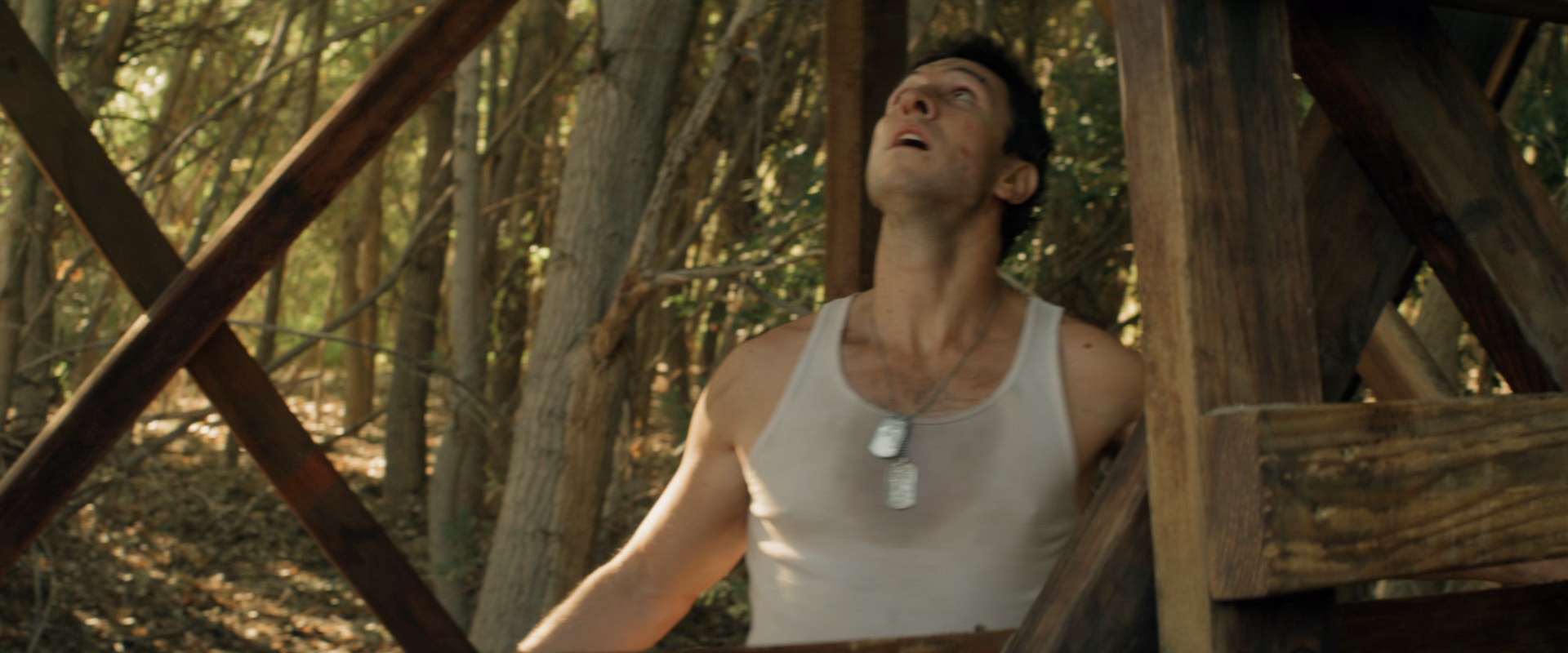 猎杀禁区 [中文字幕].Preservation.2014.BluRay.1080p.x265.10bit-SSDSSE 3.13GB-4.png