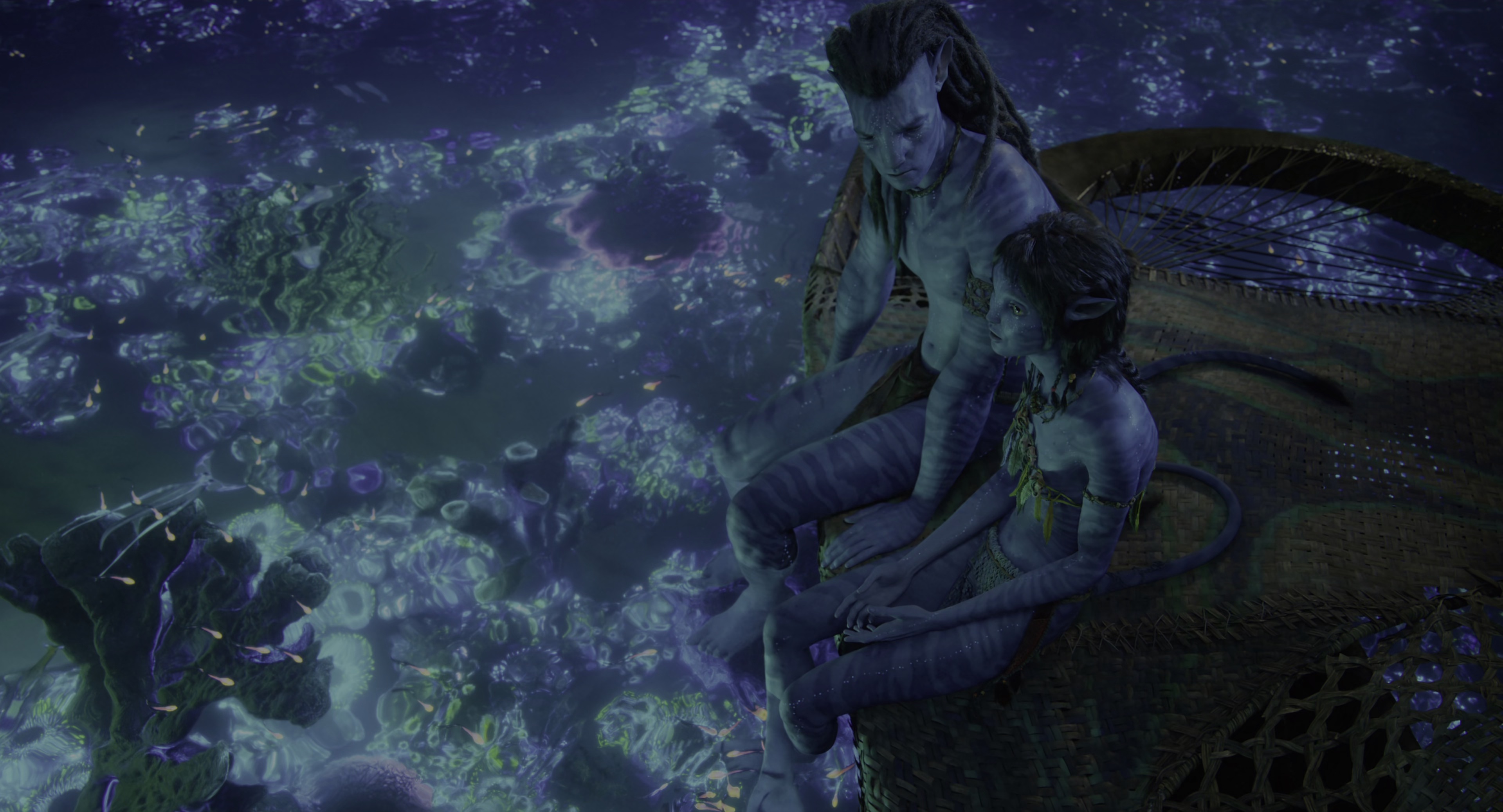 阿凡达：水之道 [共2部合集][国英多音轨/简繁英双语特效字幕].2009-2022.UHD.BluRay.2160p.x265.10bit.HDR.2Audio-SSDSSE 76.55GB-4.png