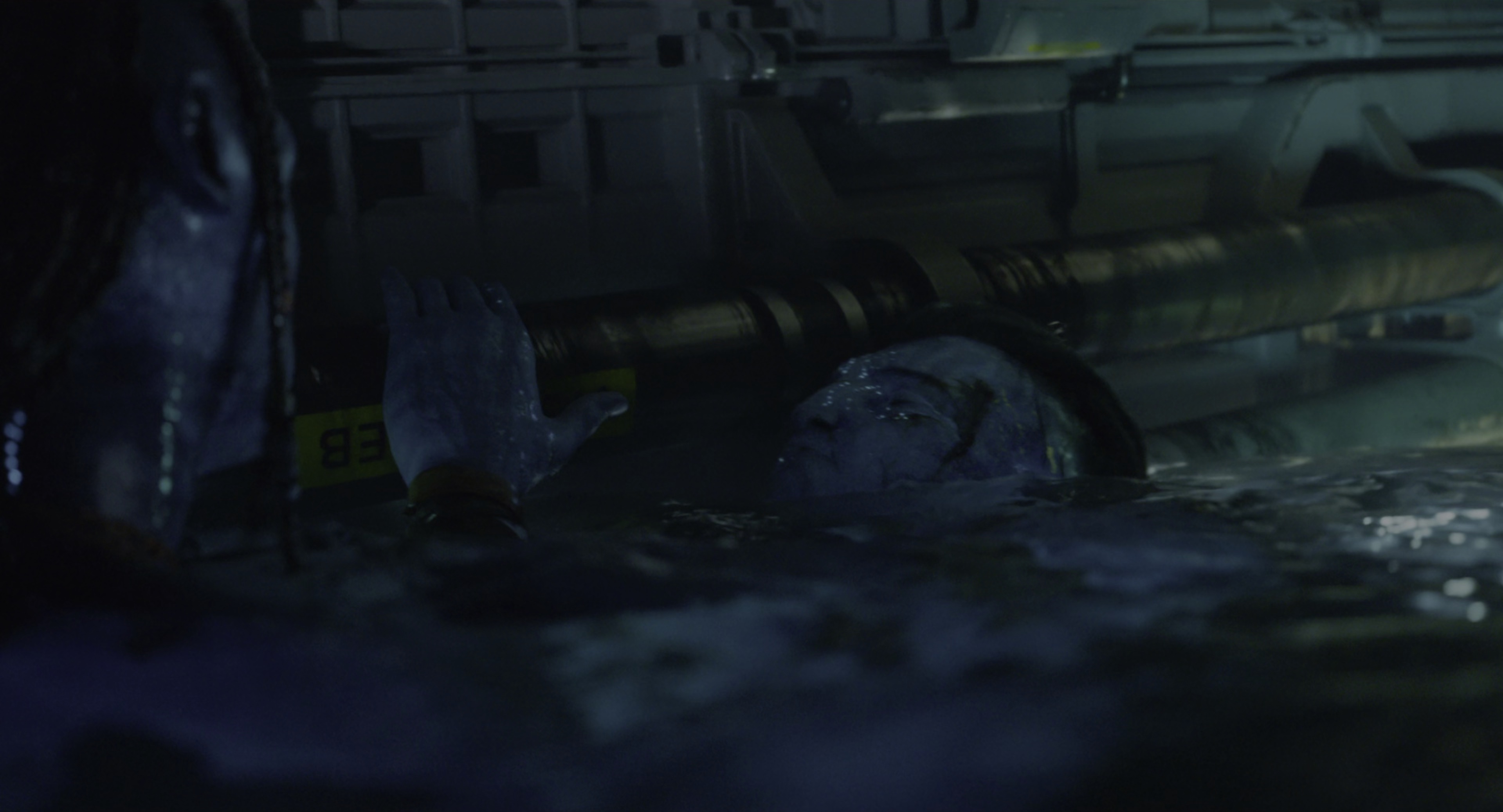 阿凡达：水之道 [共2部合集][国英多音轨/简繁英双语特效字幕].2009-2022.UHD.BluRay.2160p.x265.10bit.HDR.2Audio-SSDSSE 76.55GB-7.png