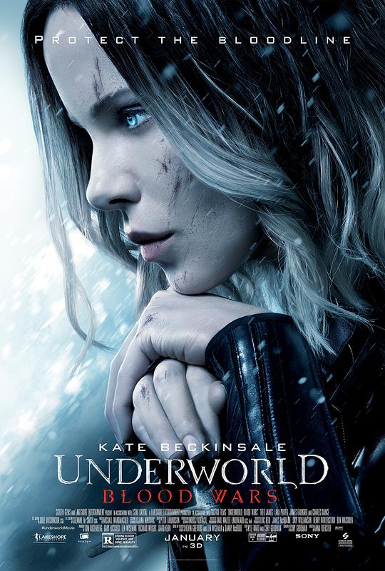 黑夜传说5：血战 [中英字幕].Underworld.Blood.Wars.2016.BluRay.1080p.x265.10bit-SSDSSE 1.62GB-1.png