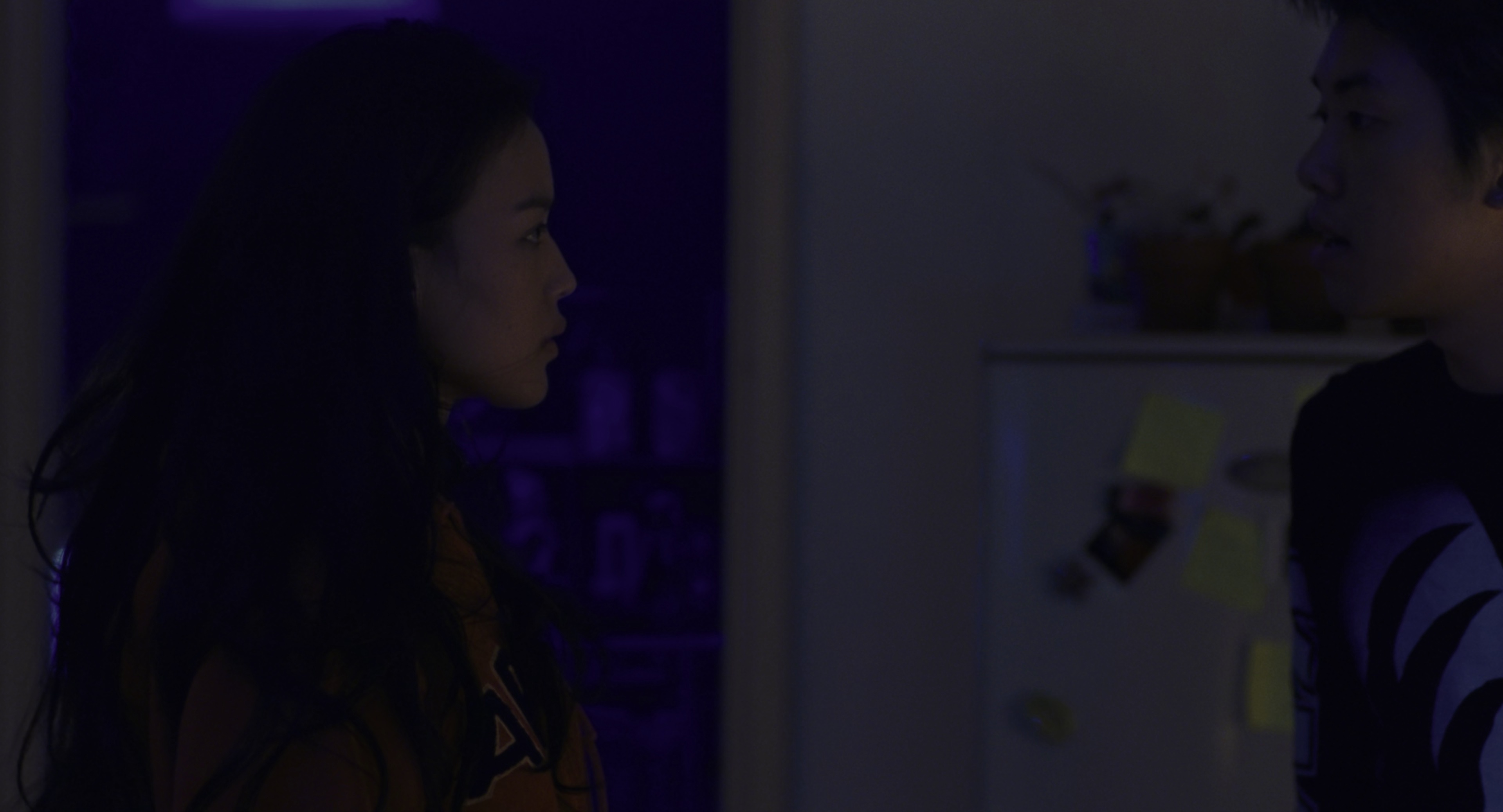 千禧曼波 [HDR/杜比视界双版本][国语音轨/简繁英字幕].Millenium.Mambo.2001.UHD.BluRay.2160p.x265.10bit.DoVi-SSDSSE 16.42GB-1.png