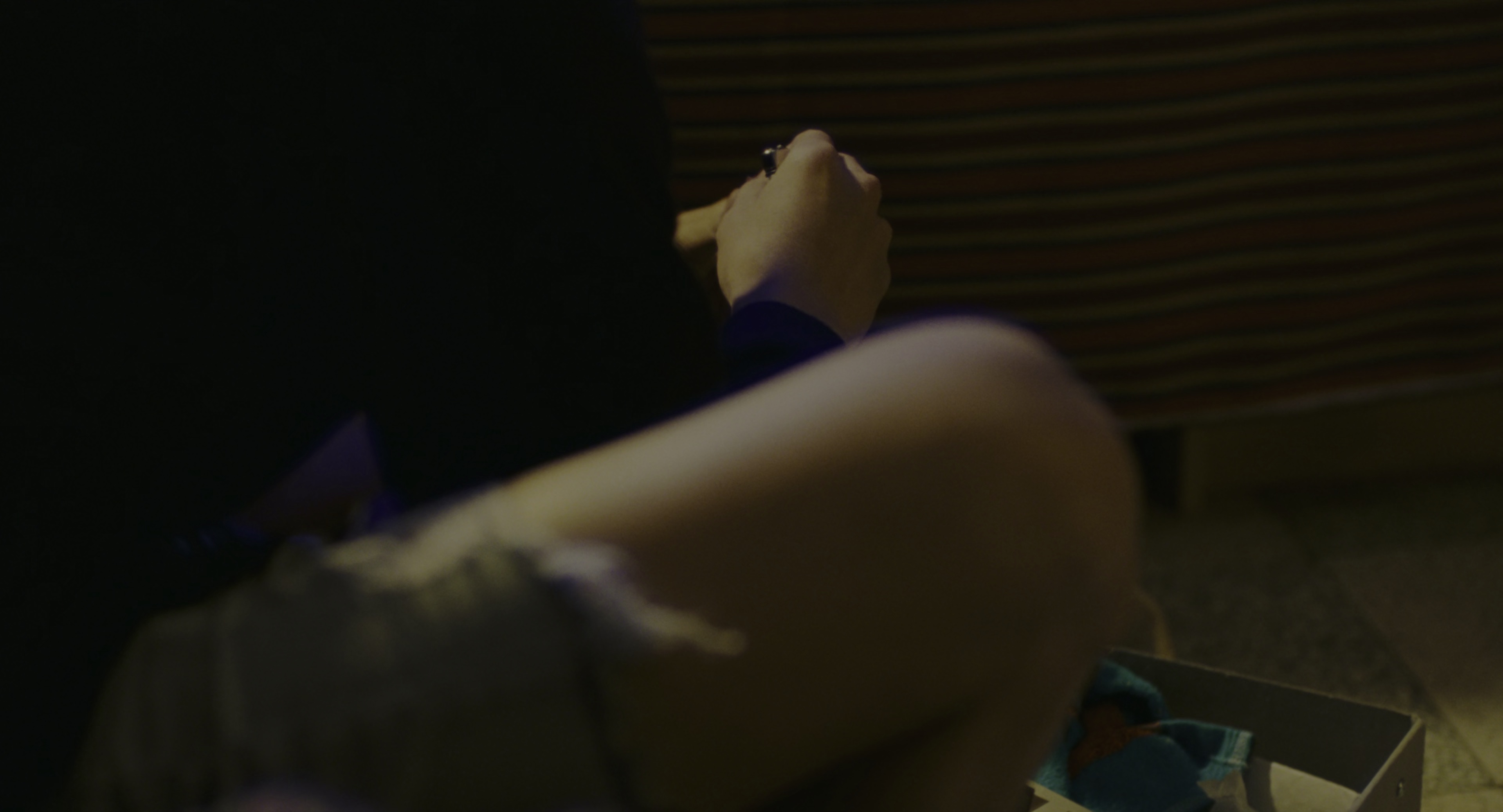 千禧曼波 [HDR/杜比视界双版本][国语音轨/简繁英字幕].Millenium.Mambo.2001.UHD.BluRay.2160p.x265.10bit.DoVi-SSDSSE 16.42GB-2.png