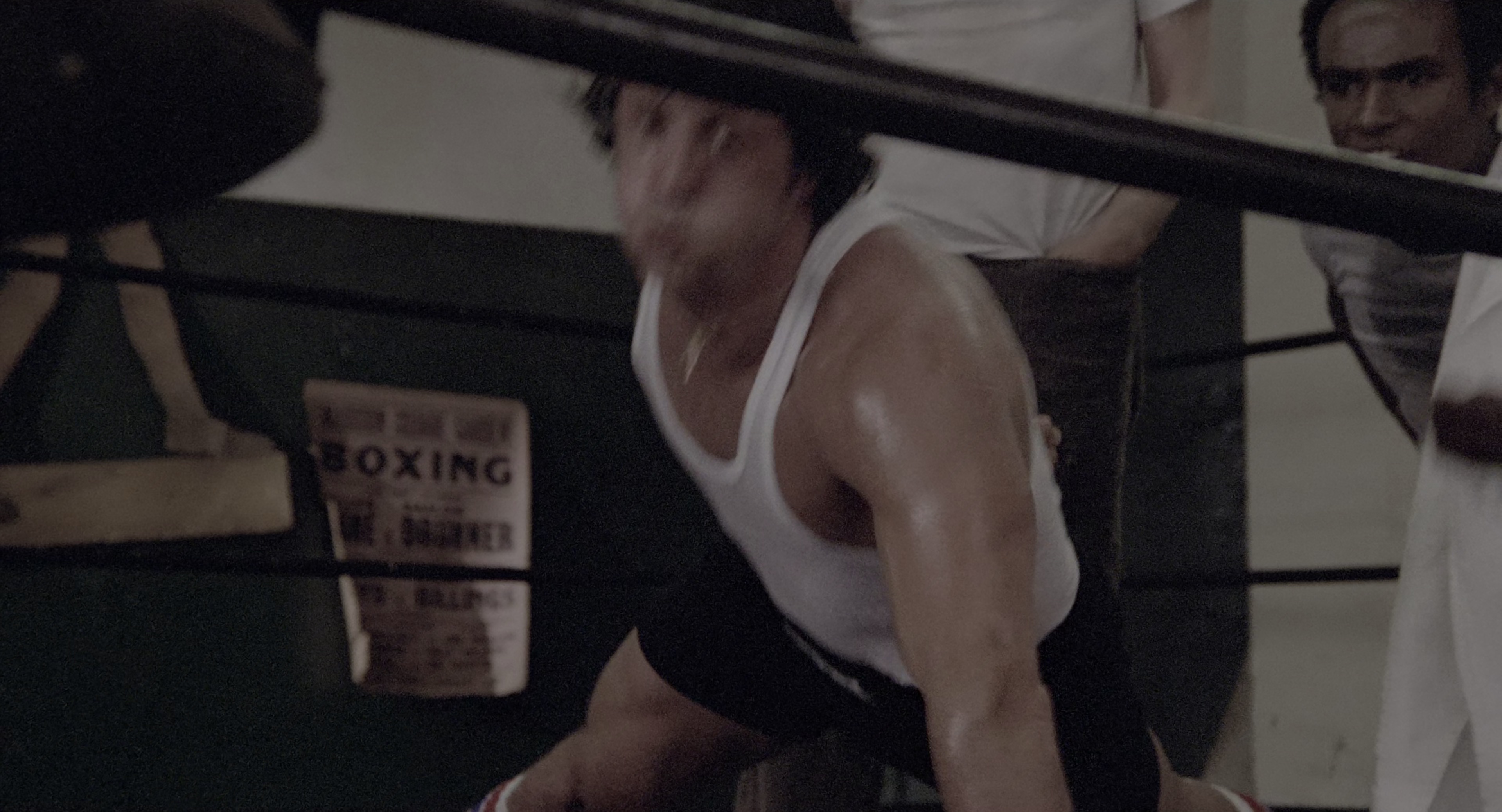 洛奇2 [HDR/杜比视界双版本][国英多音轨/简繁英双语字幕].1979.UHD.BluRay.2160p.x265.10bit.DoVi.4Audio-SSDSSE 30.33GB-6.png