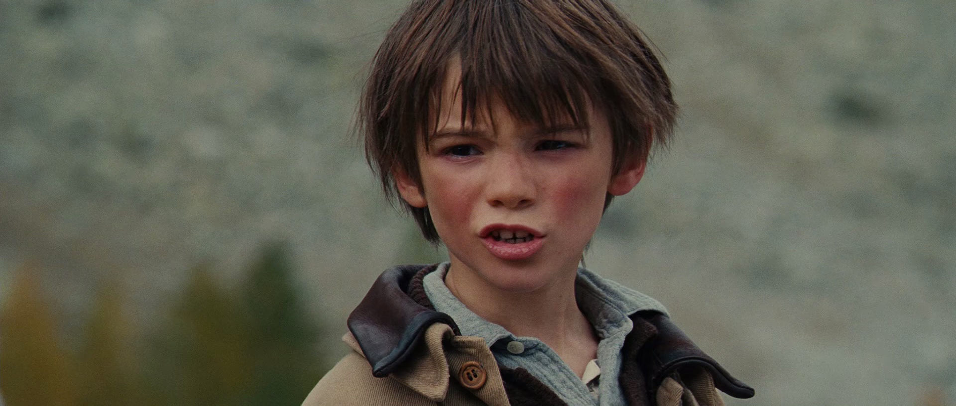 灵犬雪莉 [国语音轨/简繁字幕].2013.BluRay.1080p.x265.10bit.4Audio.DDP5.1-SSDSSE 8.53GB-4.png