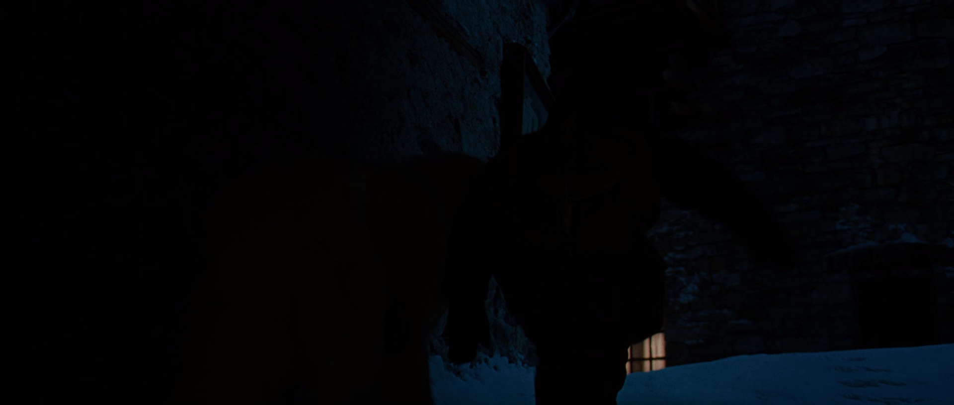 灵犬雪莉 [国语音轨/简繁字幕].2013.BluRay.1080p.x265.10bit.4Audio.DDP5.1-SSDSSE 8.53GB-6.png