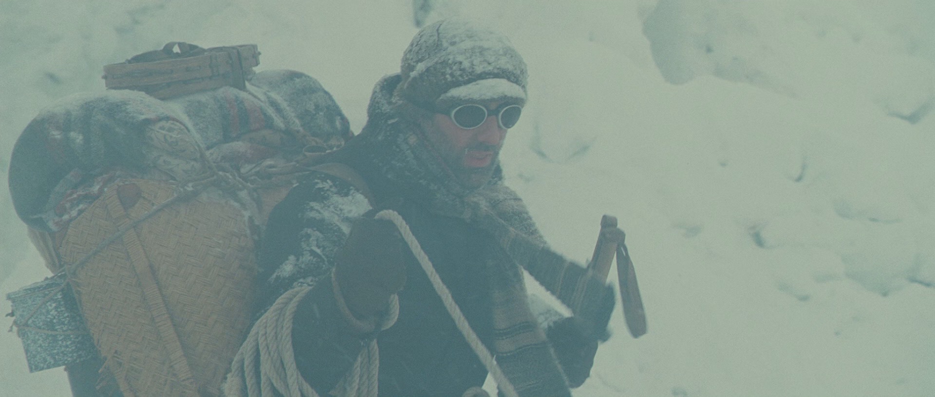 灵犬雪莉 [国语音轨/简繁字幕].2013.BluRay.1080p.x265.10bit.4Audio.DDP5.1-SSDSSE 8.53GB-7.png