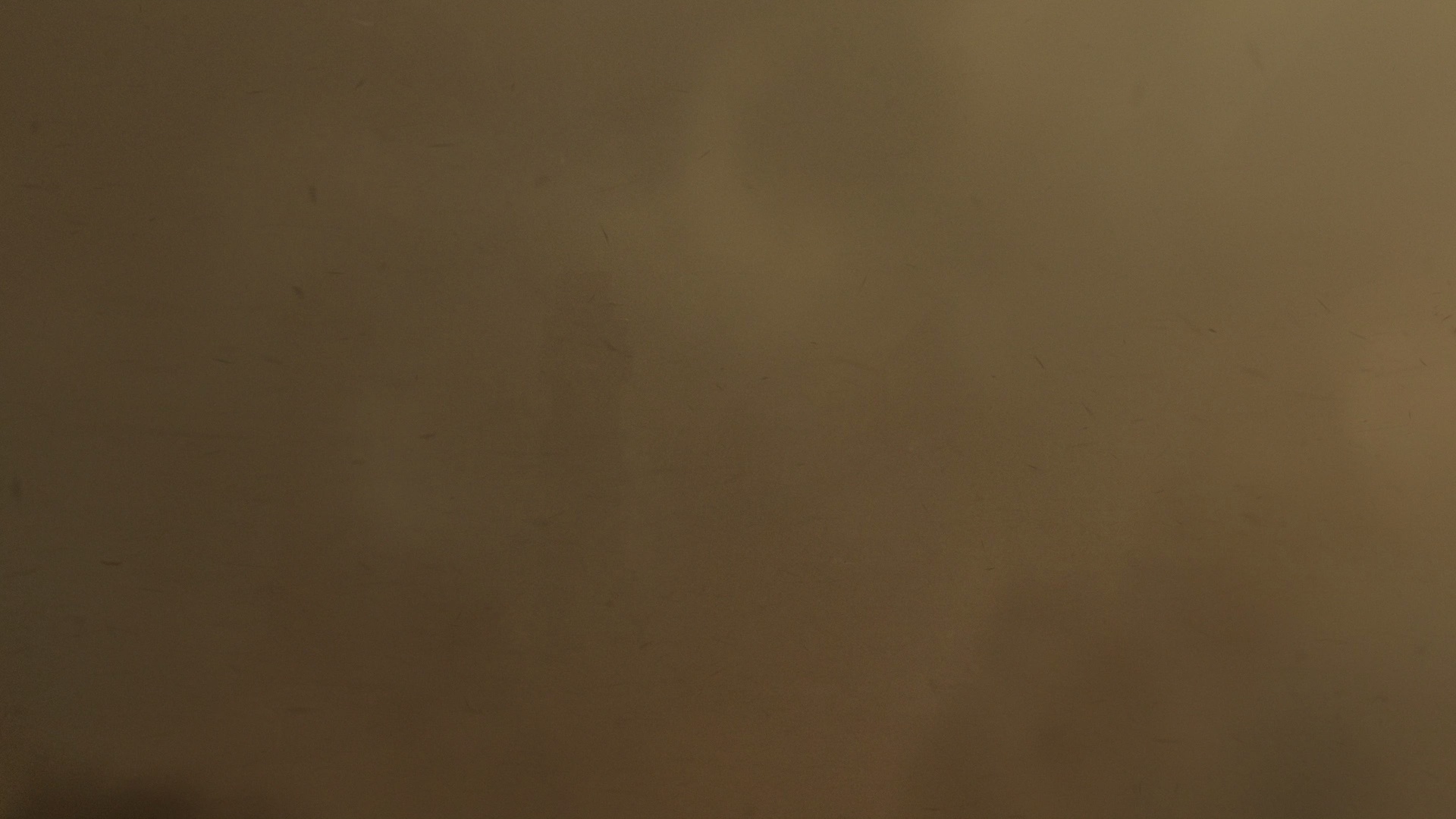 爱探险的朵拉：消失的黄金城 [简繁英字幕].Dora.and.the.Lost.City.of.Gold.2019.BluRay.1080p.x265.DDP7.1.REPCAK-SSDSSE 5.32GB-7.png