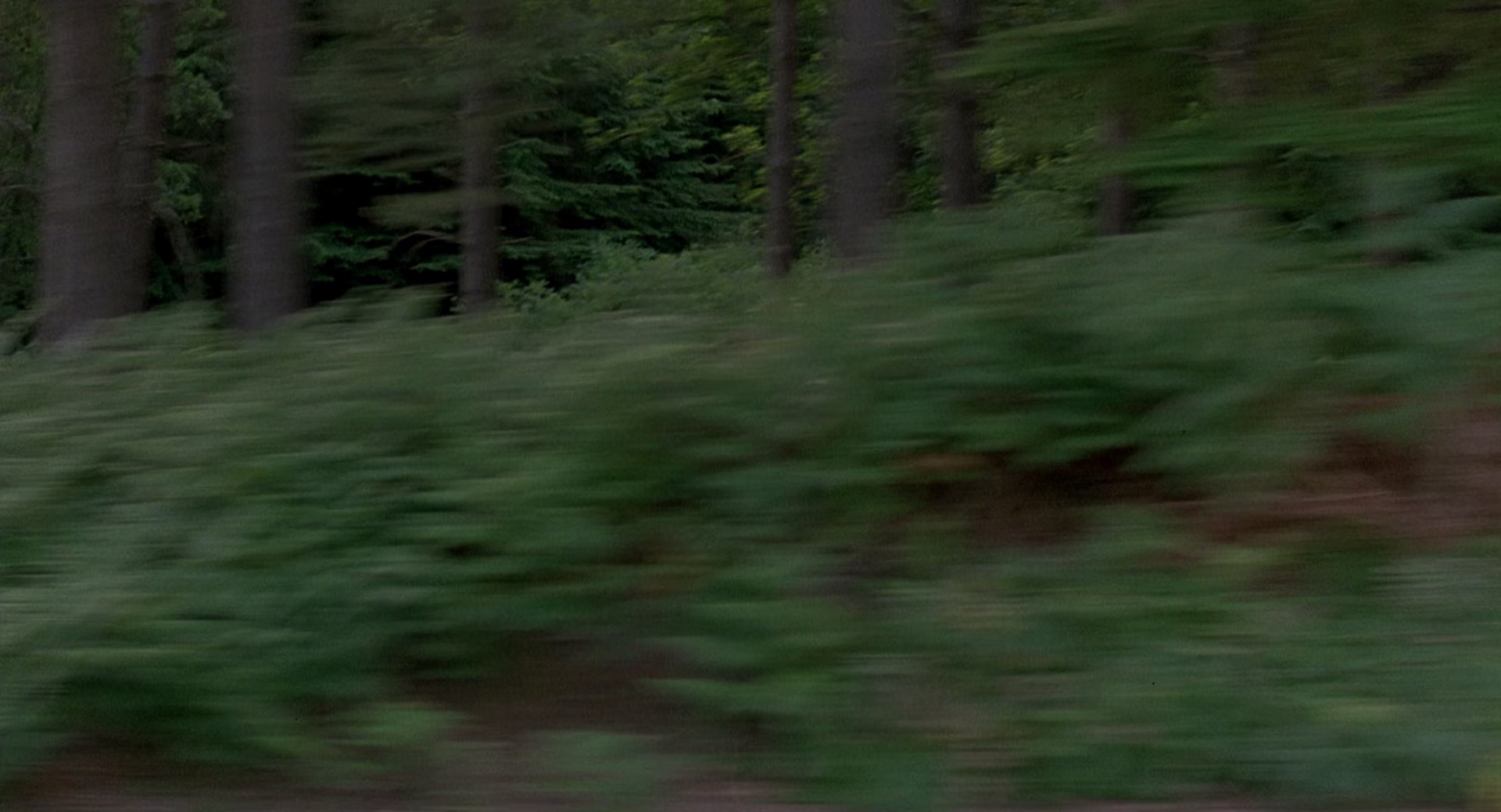 狼兄鼠弟 [简繁字幕].Splitting.Heirs.1993.BluRay.1080p.x265.10bit.FLAC-SSDSSE 6.65GB-7.png