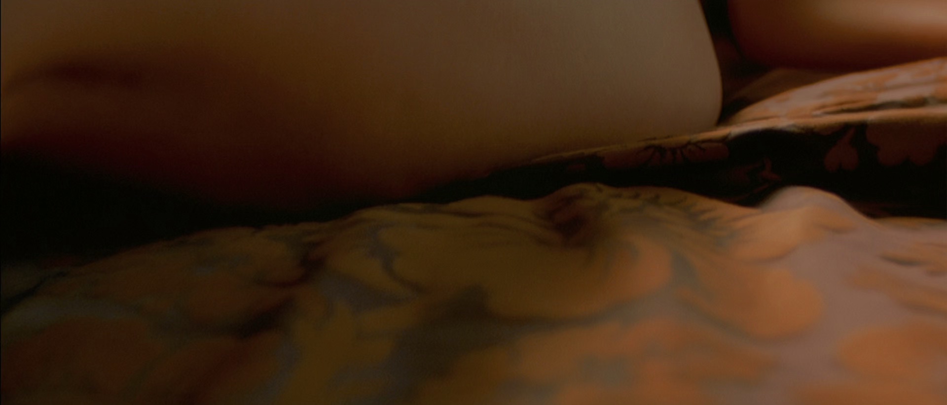 狼族盟约 [国语音轨/简繁字幕].Brotherhood.of.the.Wolf.2001.BluRay.1080p.x265.10bit.2Audio-SSDSSE 7.02GB-3.png