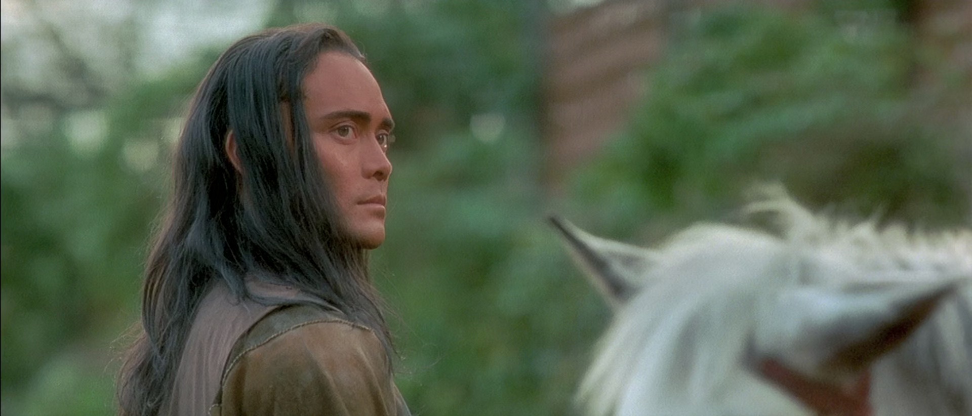 狼族盟约 [国语音轨/简繁字幕].Brotherhood.of.the.Wolf.2001.BluRay.1080p.x265.10bit.2Audio-SSDSSE 7.02GB-5.png