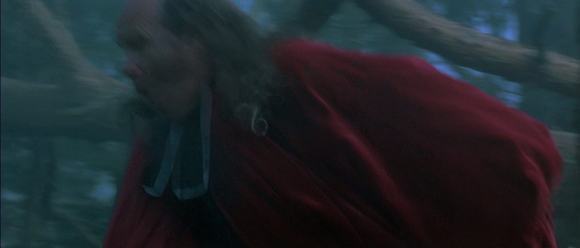 狼族盟约 [国语音轨/简繁字幕].Brotherhood.of.the.Wolf.2001.BluRay.1080p.x265.10bit.2Audio-SSDSSE 7.02GB-7.png