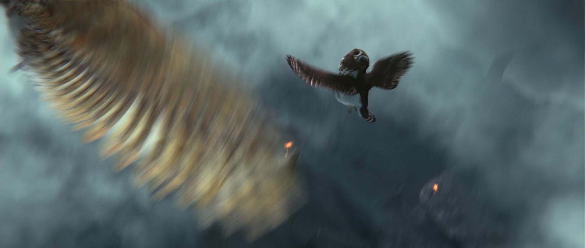 猫头鹰王国：守卫者传奇 [国英多音轨/中英字幕].2010.BluRay.1080p.x265.10bit.2Audio-SSDSSE 5.55GB-3.png