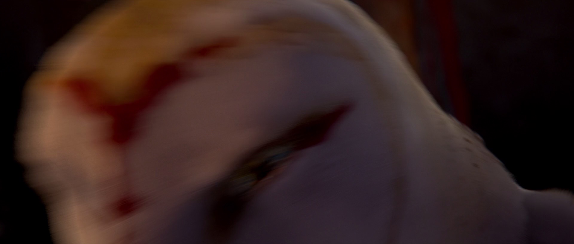 猫头鹰王国：守卫者传奇 [国英多音轨/中英字幕].2010.BluRay.1080p.x265.10bit.2Audio-SSDSSE 5.55GB-2.png