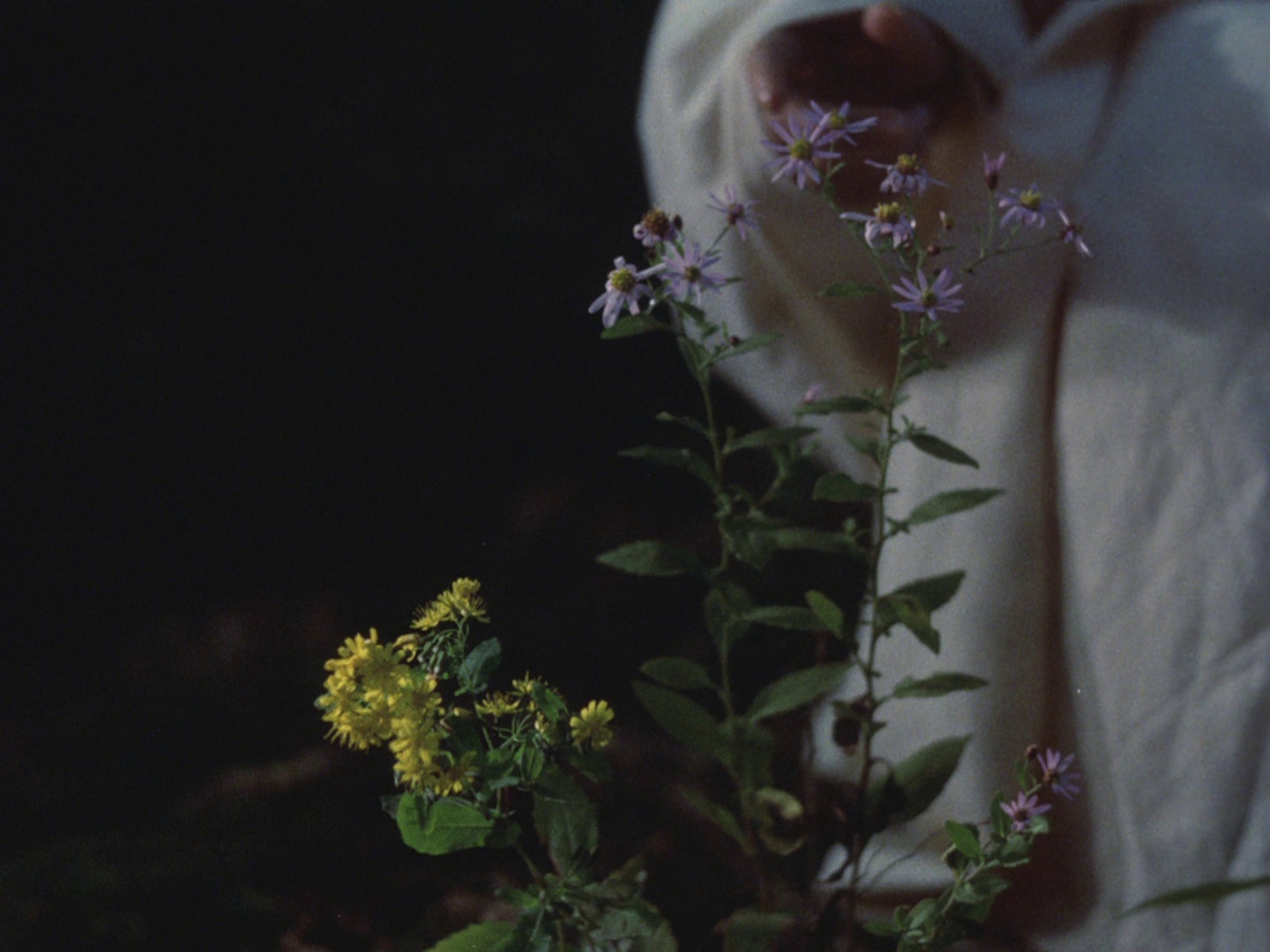 卑弥呼 [简繁英字幕].Himiko.1974.1080p.BluRay.x264.FLAC.2.0-QuickIO 10.18GB-2.png